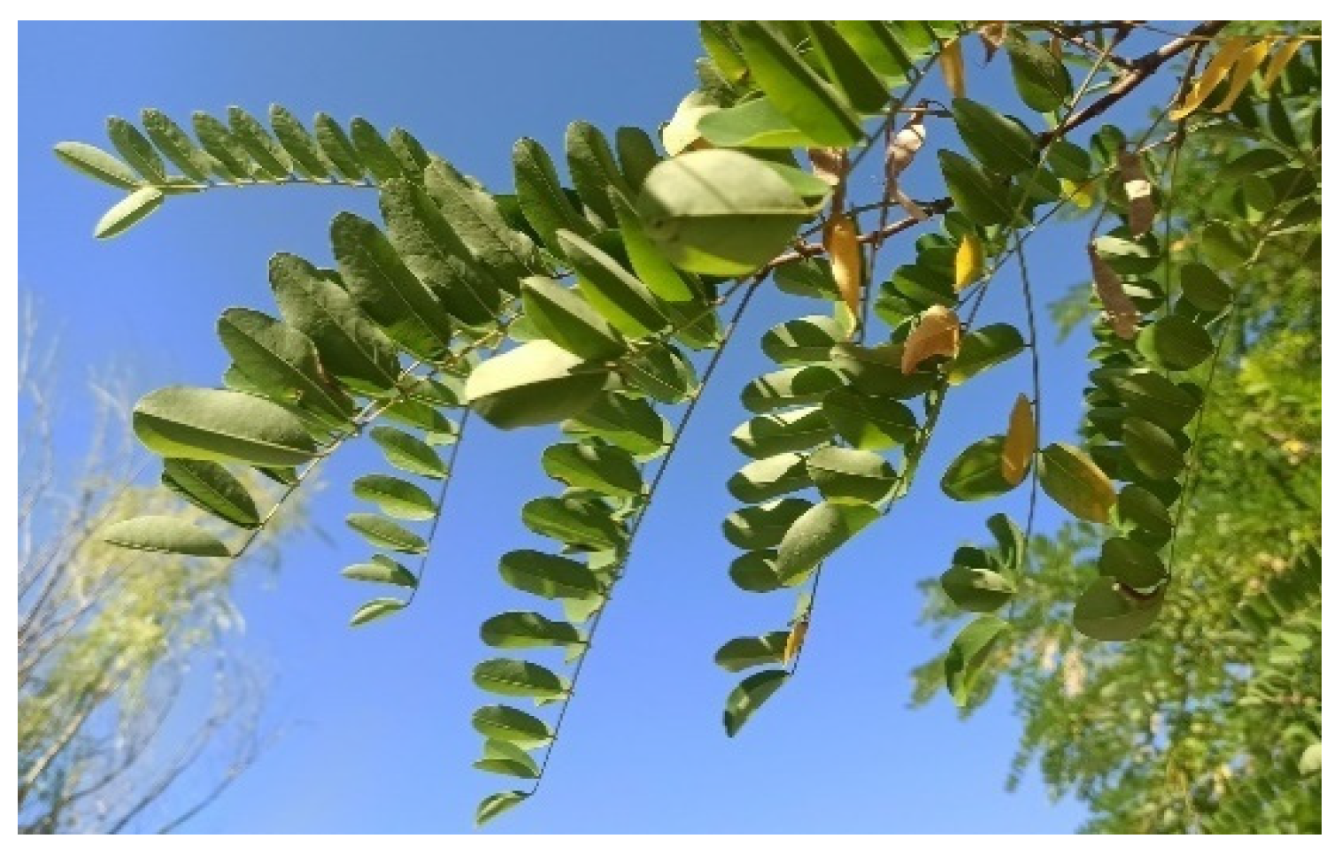 Agriculture 13 00695 g006 Agriculture 13 00695 g006