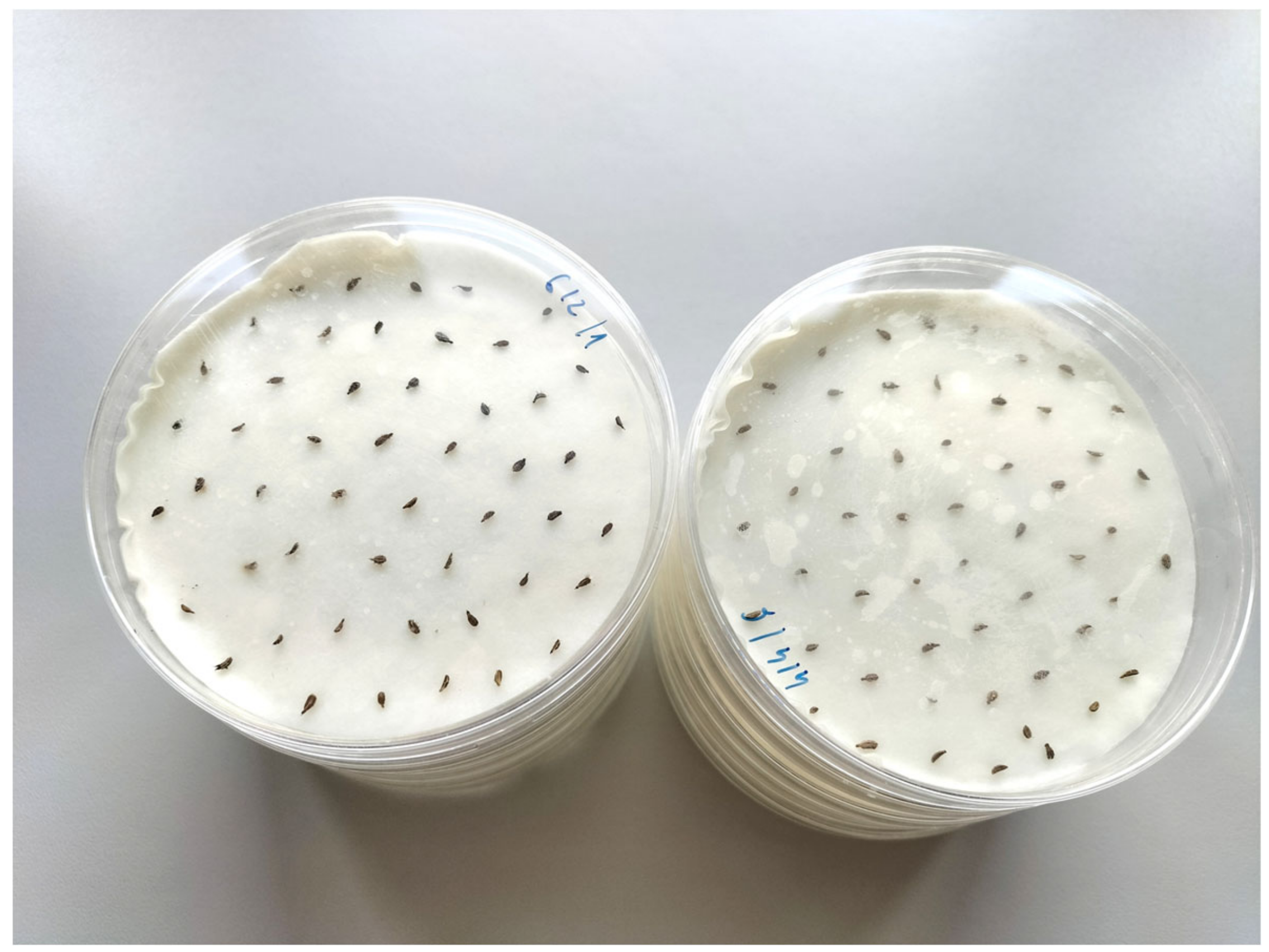 Agriculture 13 00749 g001