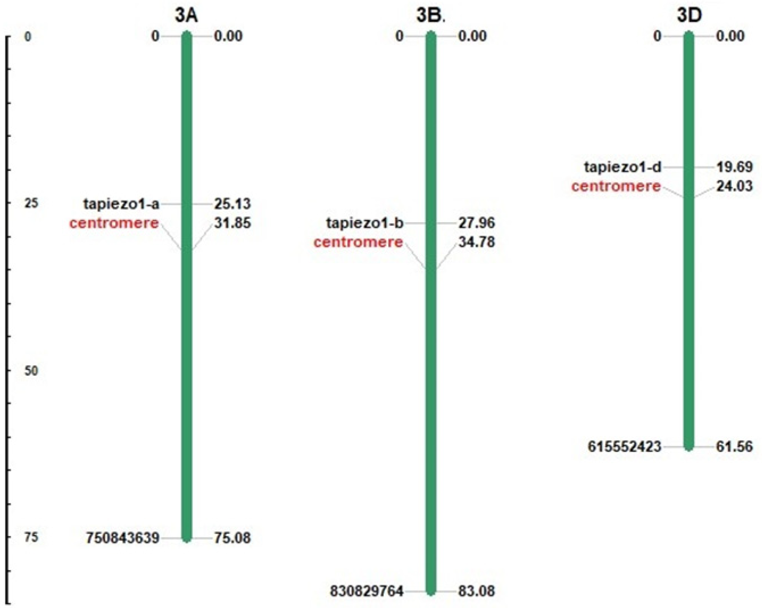 Agriculture 13 00783 g001