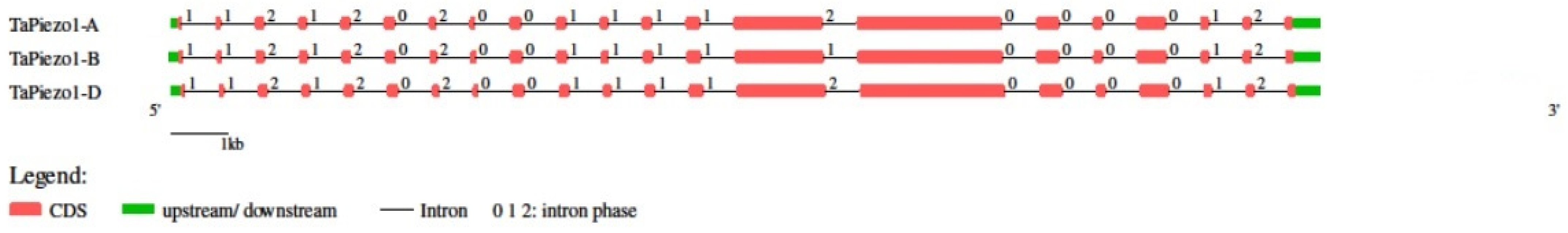 Agriculture 13 00783 g003