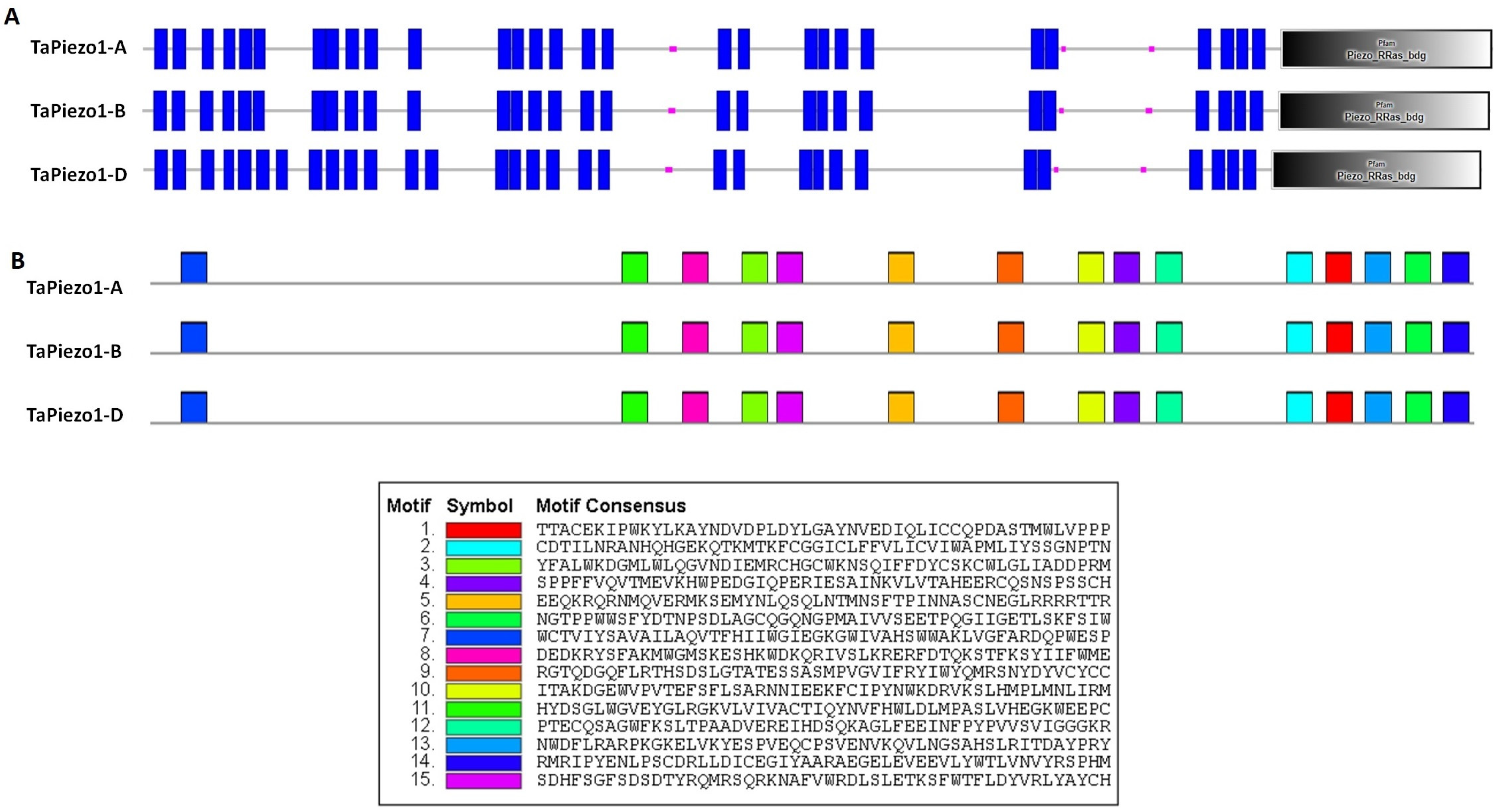 Agriculture 13 00783 g004