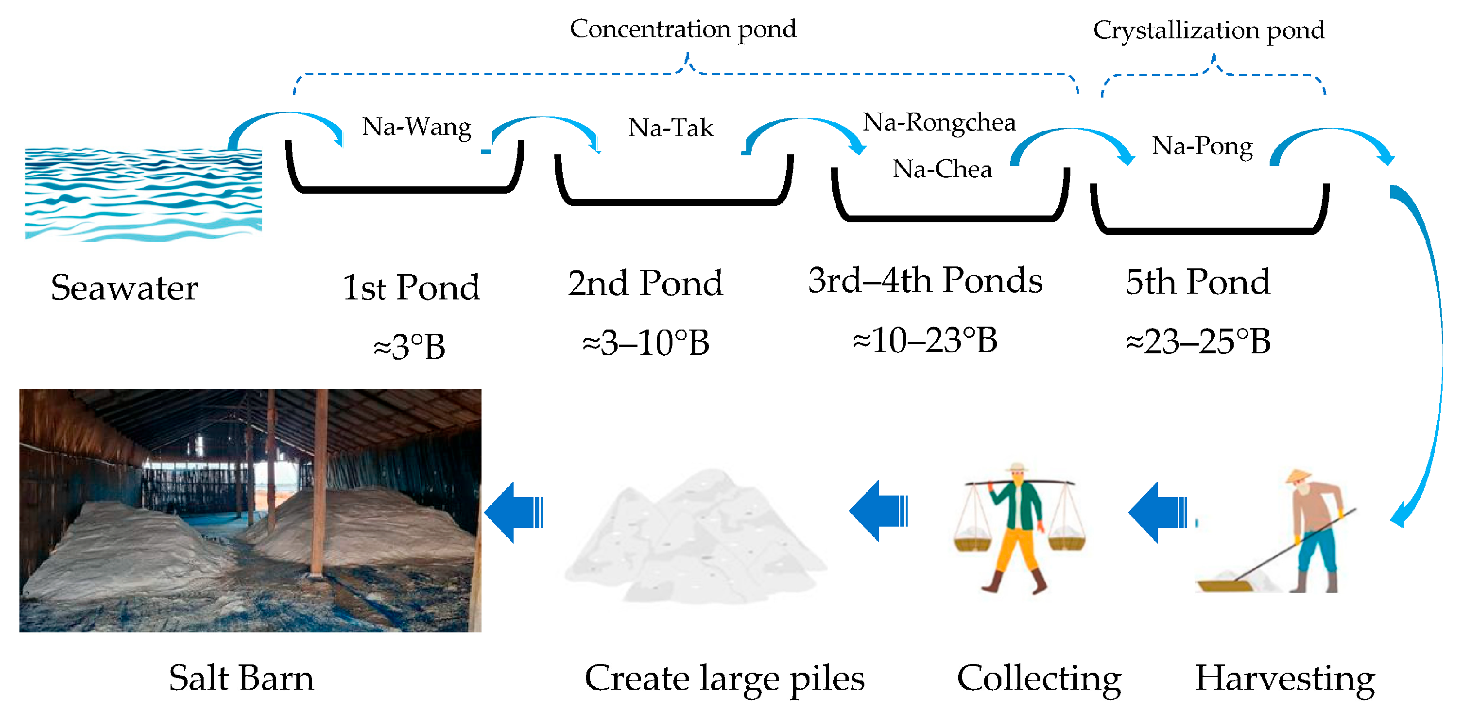 Agriculture | Free Full-Text | A Copula-Based Meta-Stochastic Frontier  Analysis for Comparing Traditional and HDPE Geomembranes Technology in Sea  Salt Farming among Farmers in Phetchaburi, Thailand