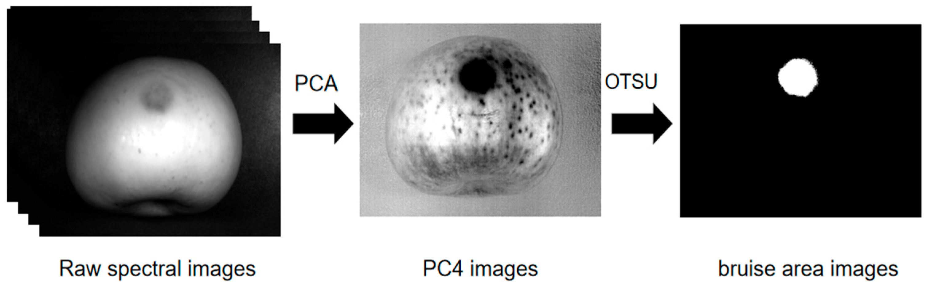Agriculture 13 00819 g002 Agriculture 13 00819 g002
