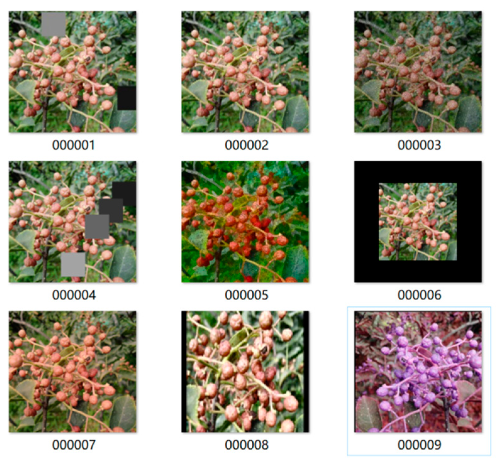 Agriculture 13 00821 g003