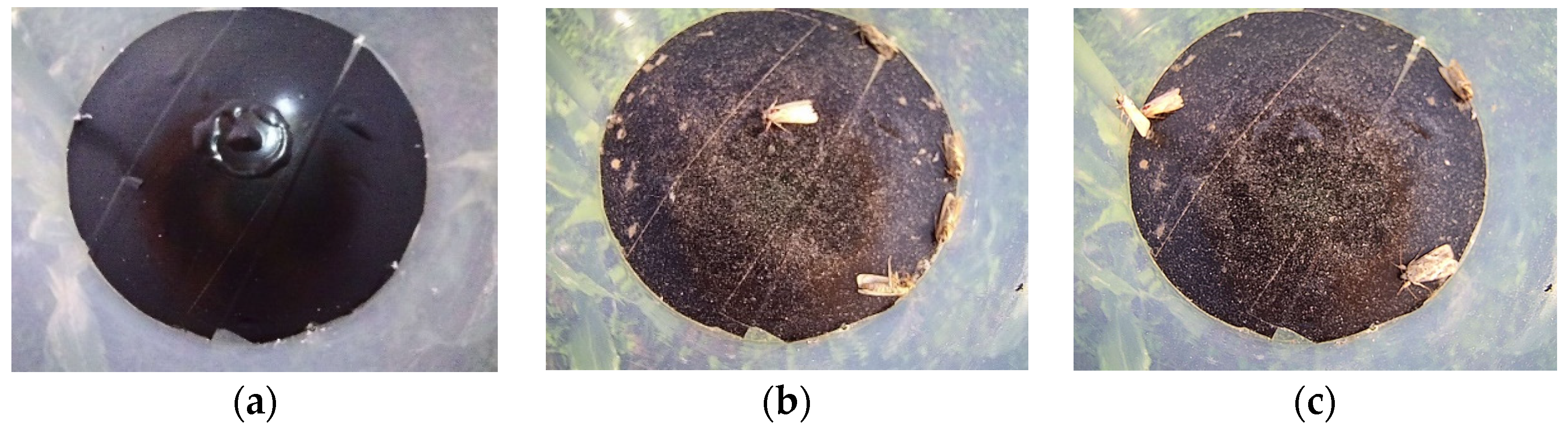 Agriculture 13 00843 g008a