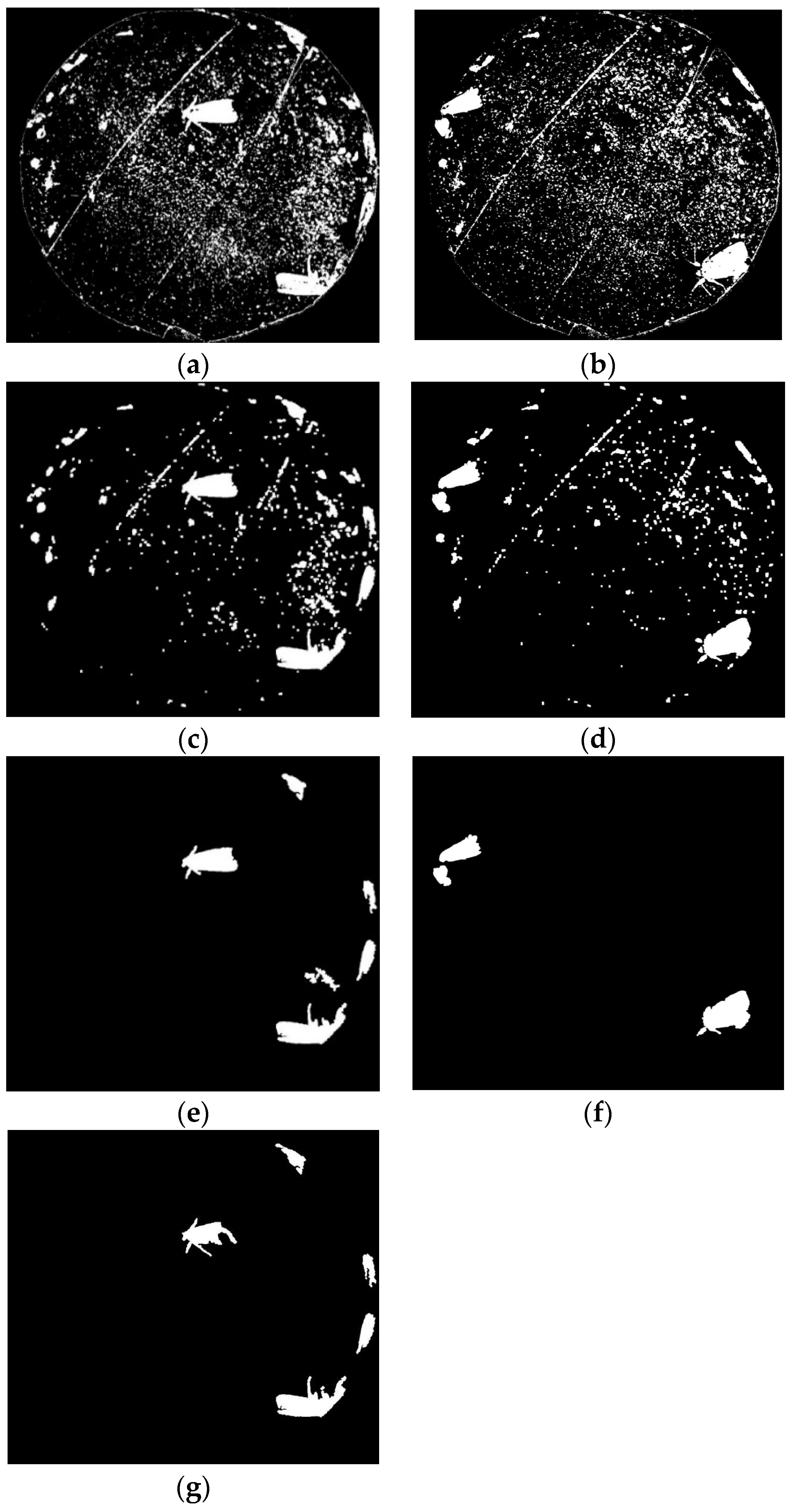 Agriculture 13 00843 g010
