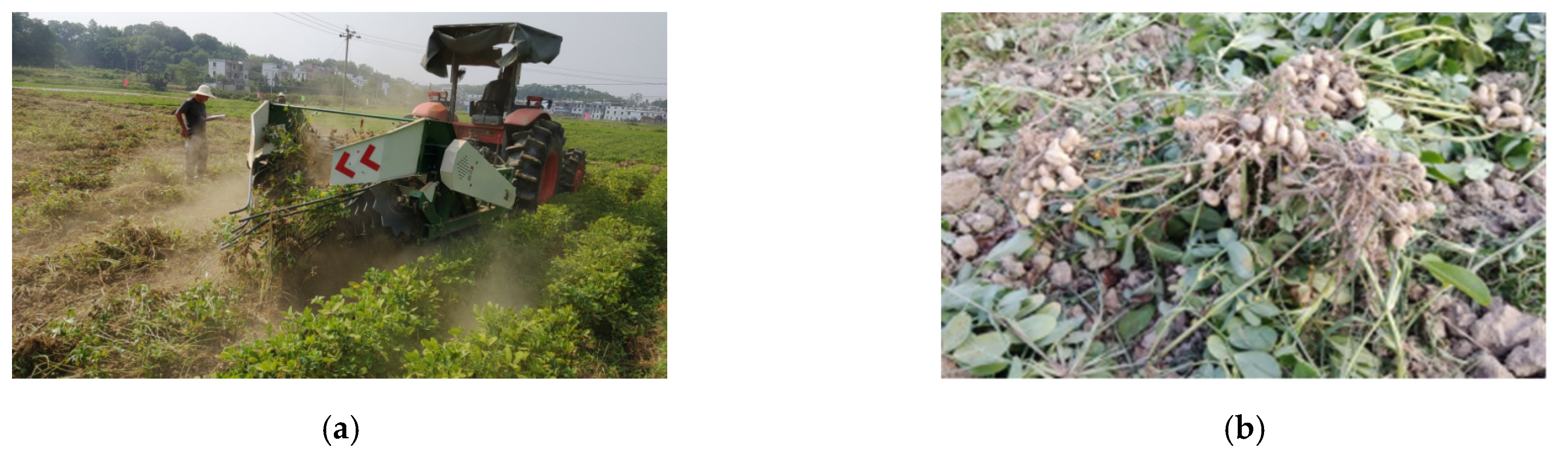 Agriculture 13 00847 g004a