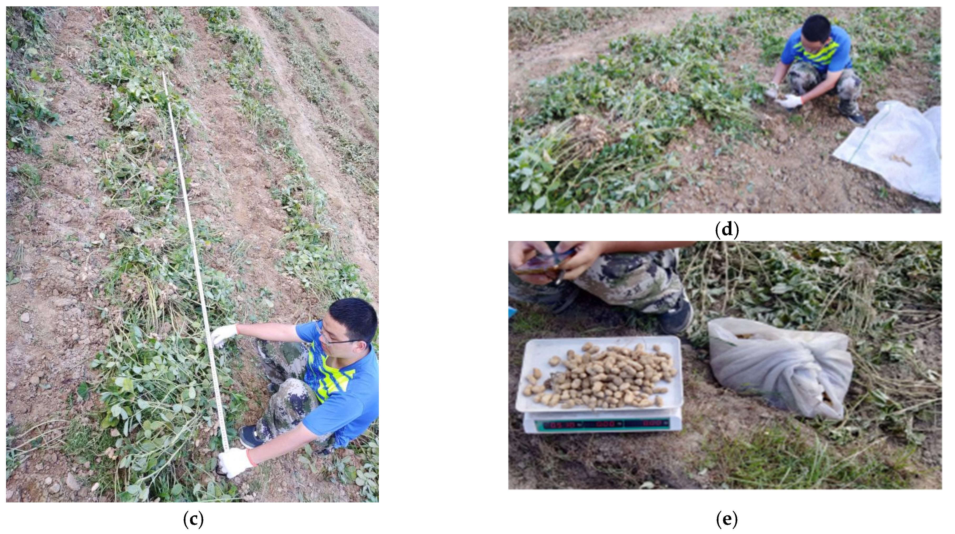 Agriculture 13 00847 g004b