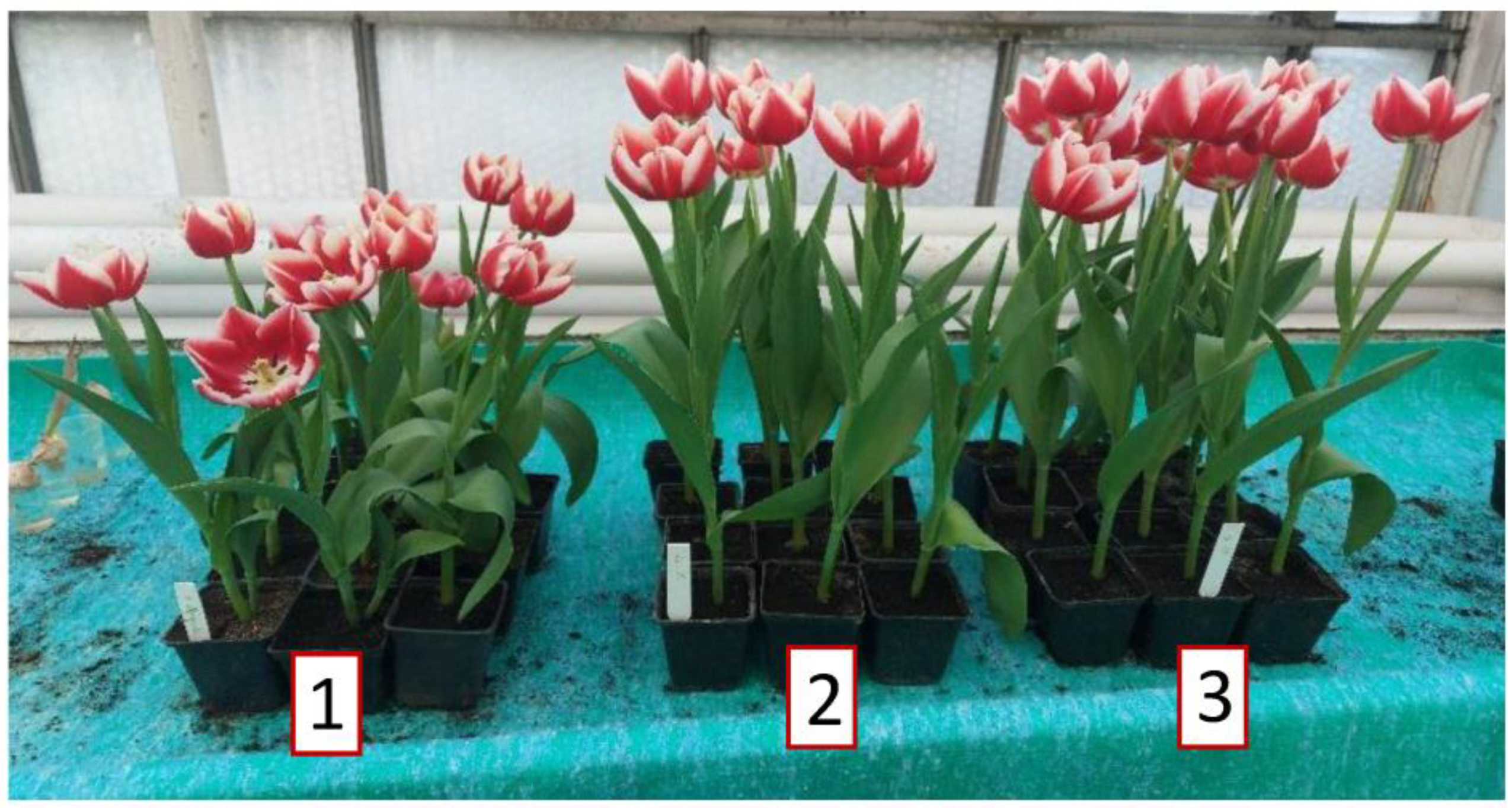 Agriculture 13 00853 g002