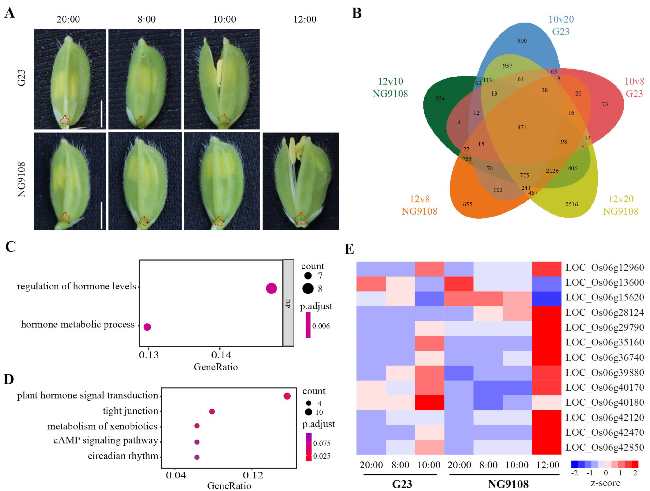 Agriculture 13 00859 g004