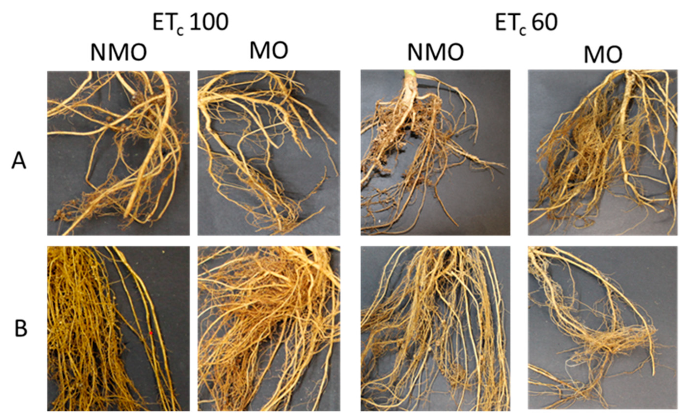 Agriculture 13 00865 g004