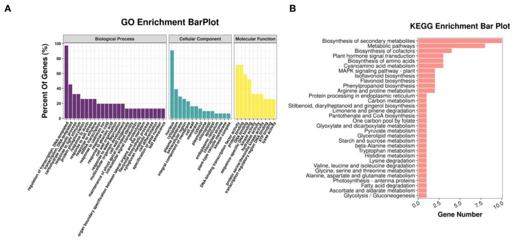Agriculture 13 00949 g003 Agriculture 13 00949 g003