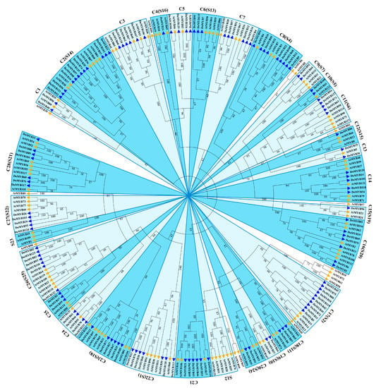 Chess Compass Notation : r/chess