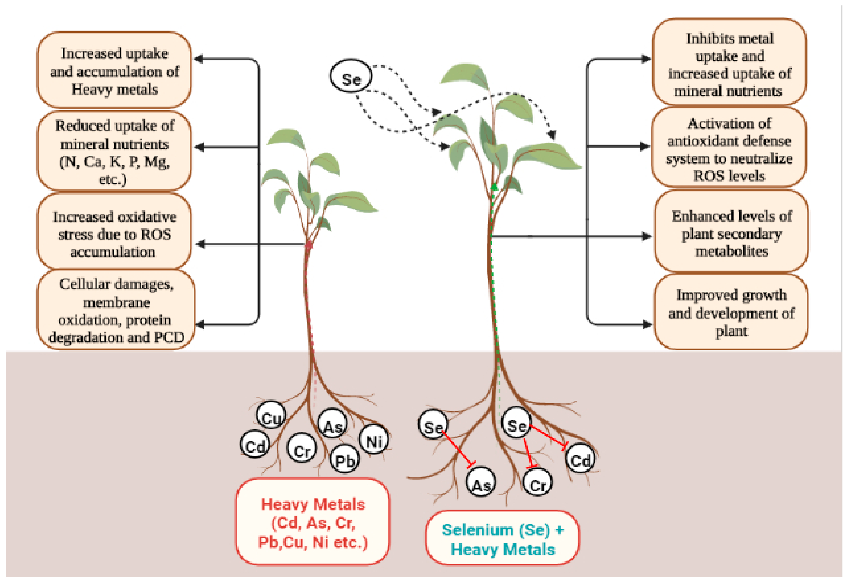 Agriculture Free Full Text Appraisal of Functions and Role of