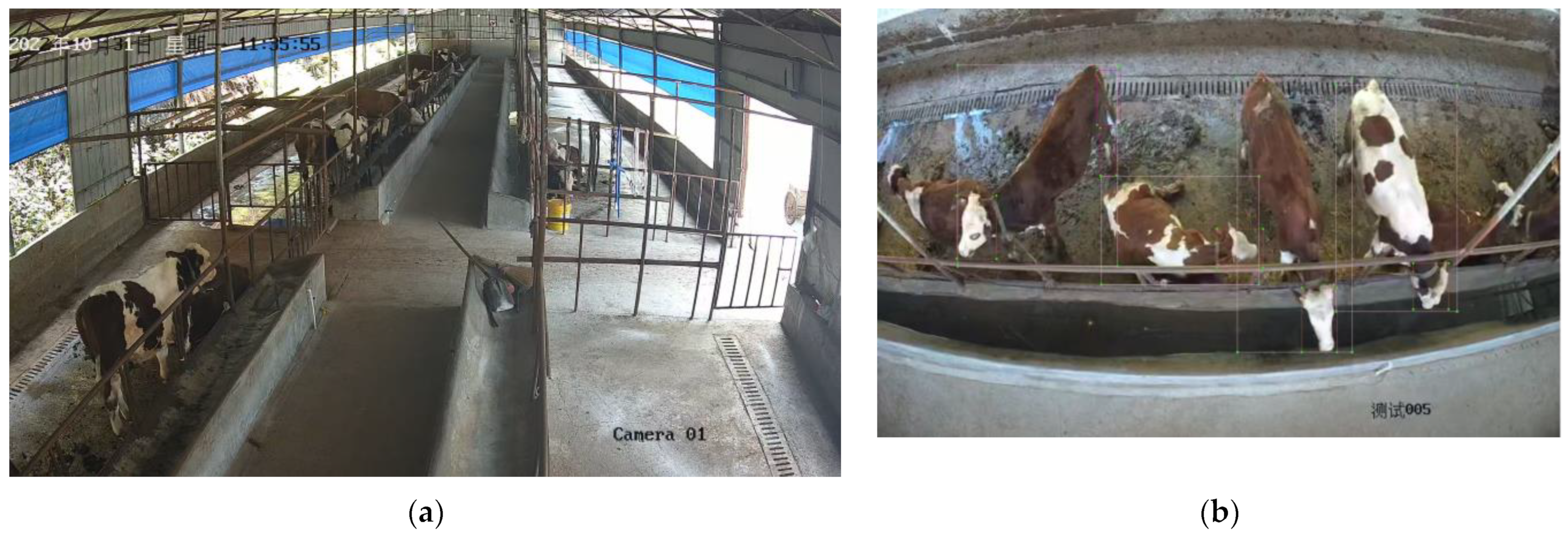 Agriculture 13 01110 g001 Agriculture 13 01110 g001