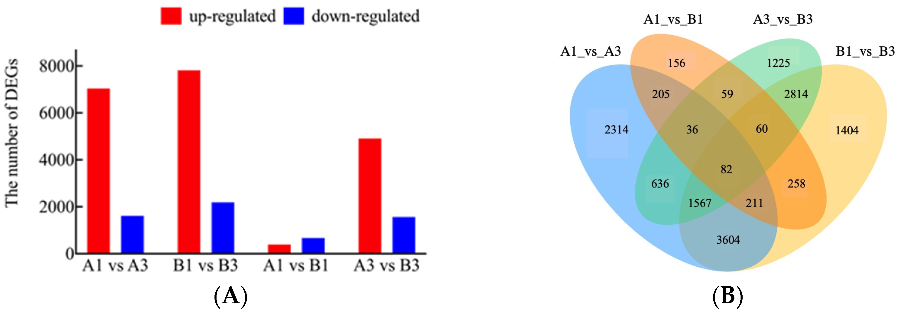 Agriculture 13 01164 g002