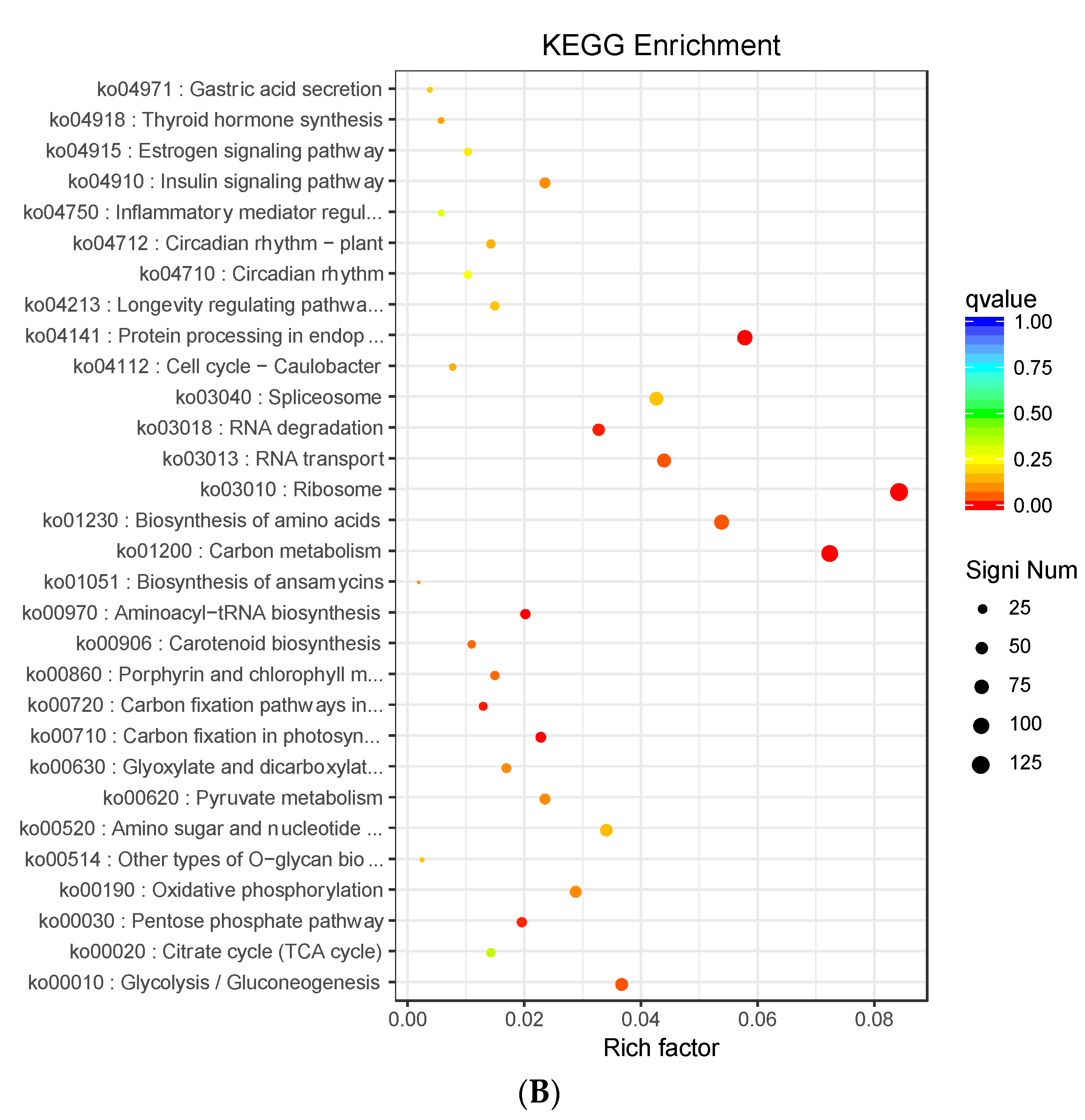Agriculture 13 01164 g004b