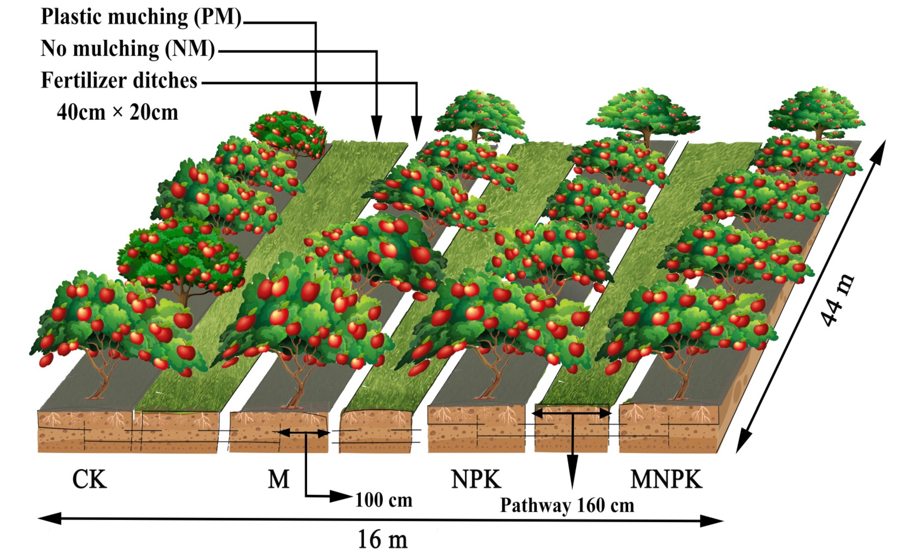 Agriculture 13 01211 g003 Agriculture 13 01211 g003