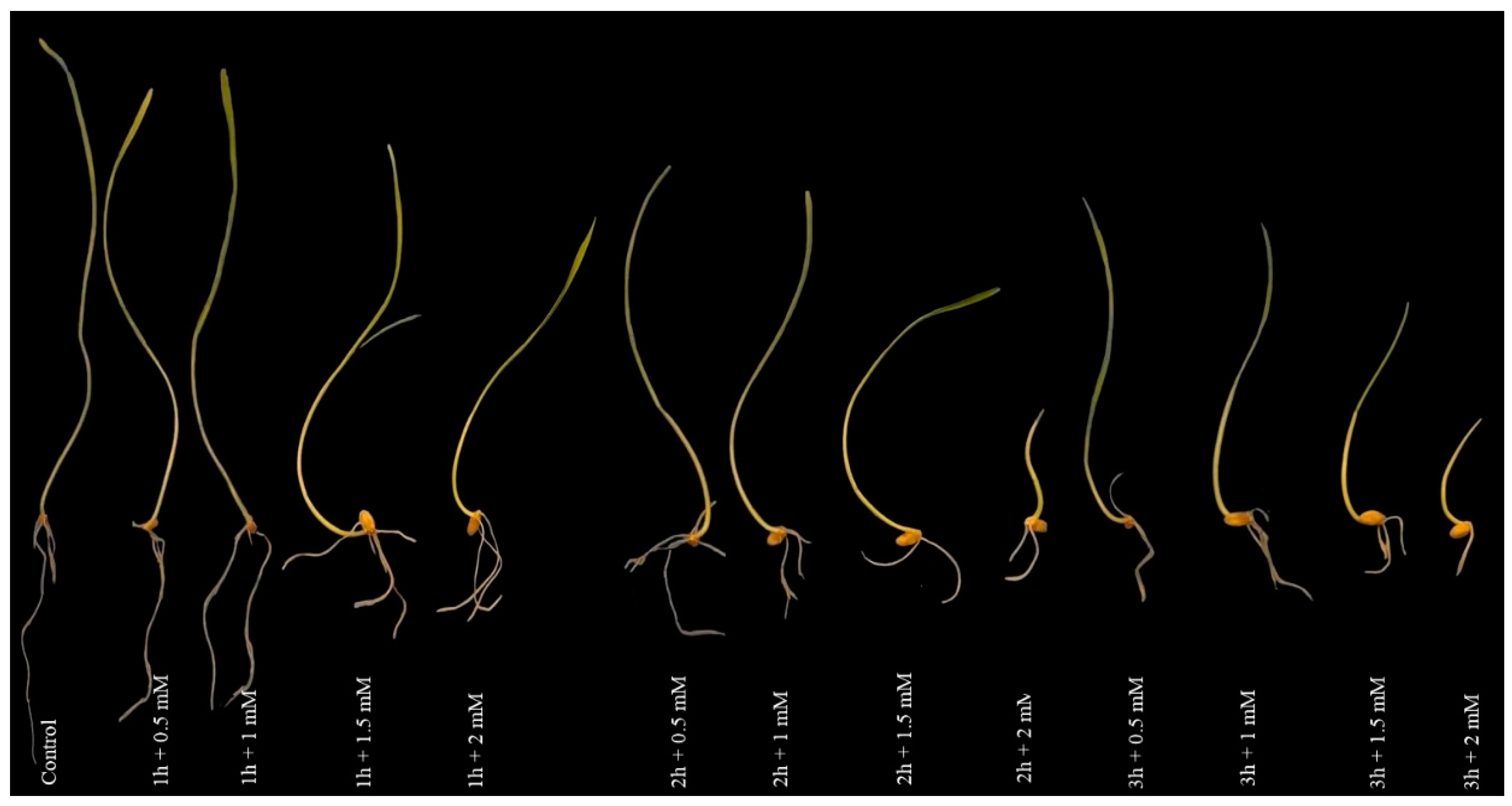 Agriculture 13 01242 g001