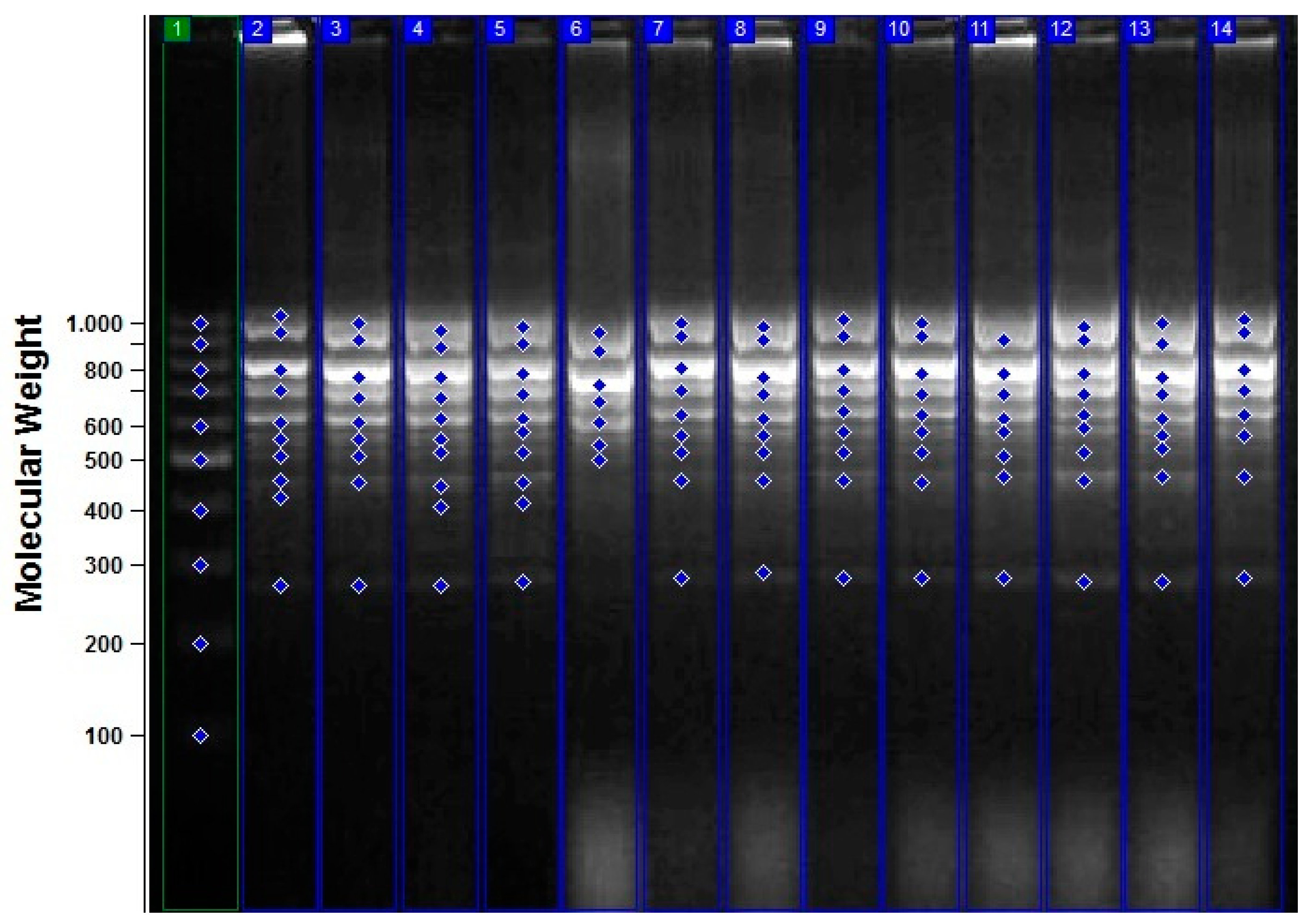Agriculture 13 01242 g002