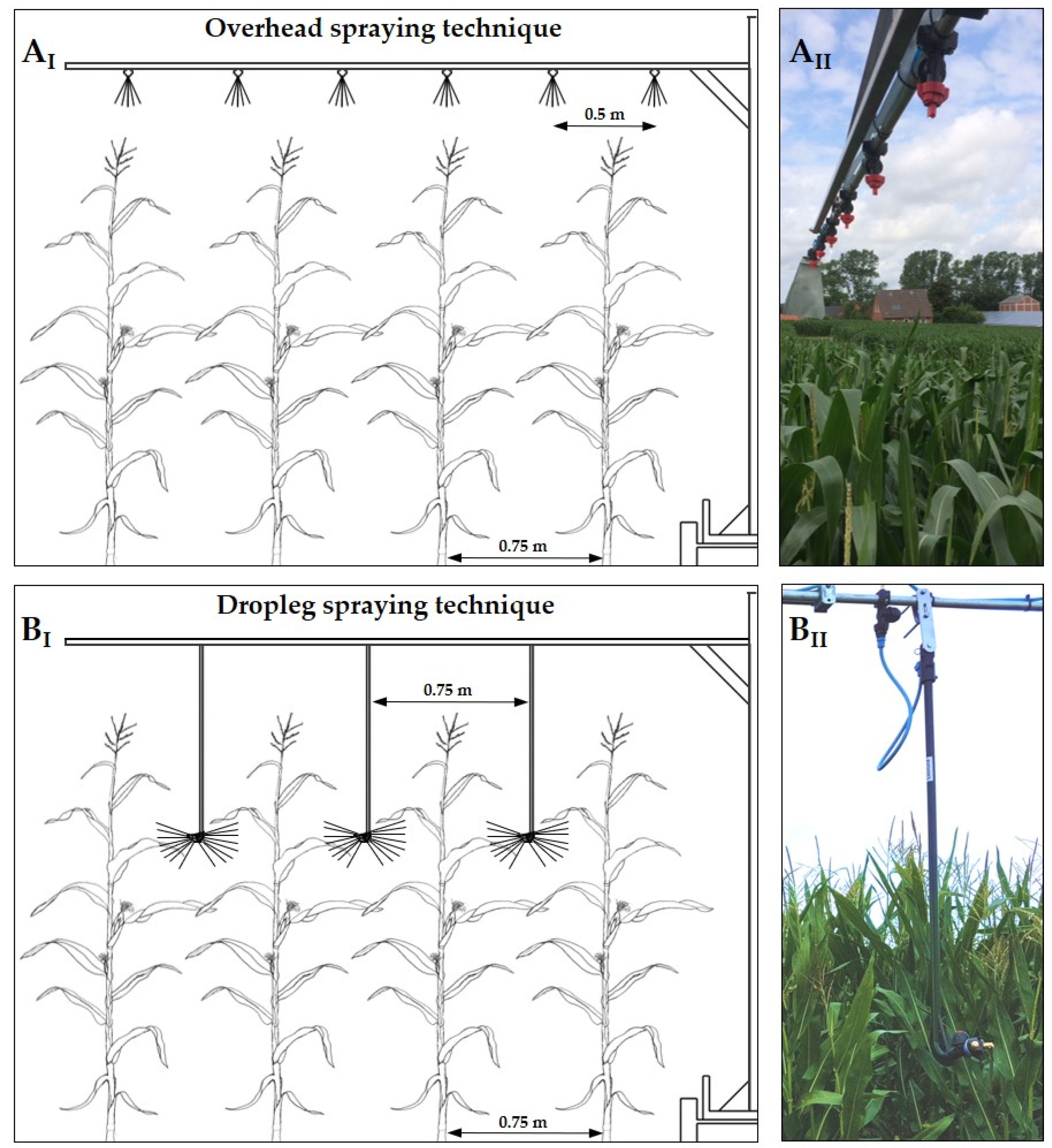 Agriculture 13 01269 g003 Agriculture 13 01269 g003