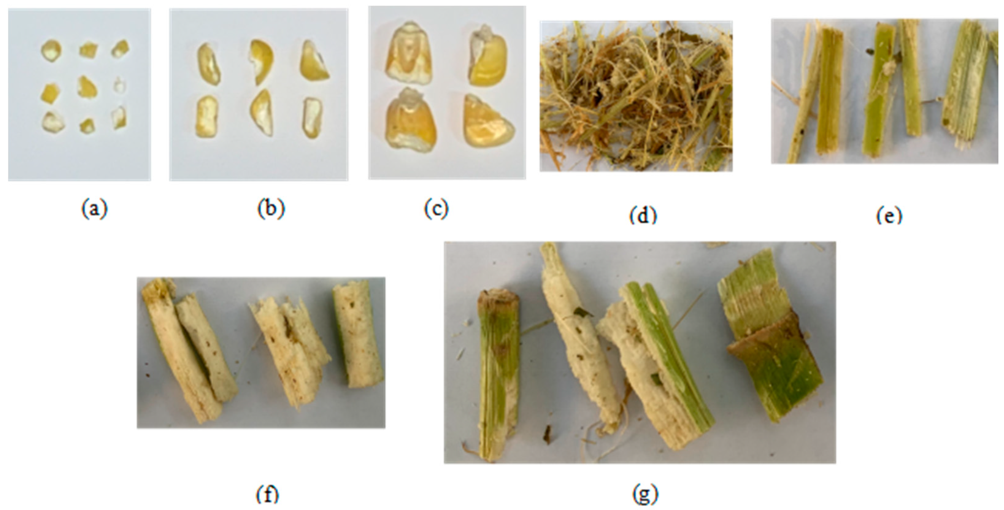Agriculture 13 01276 g017