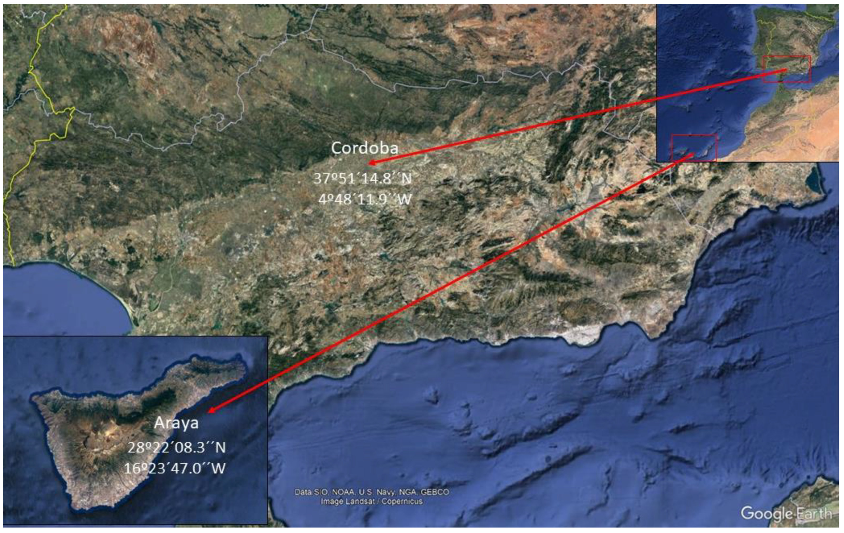 Agriculture 13 01312 g001 Agriculture 13 01312 g001