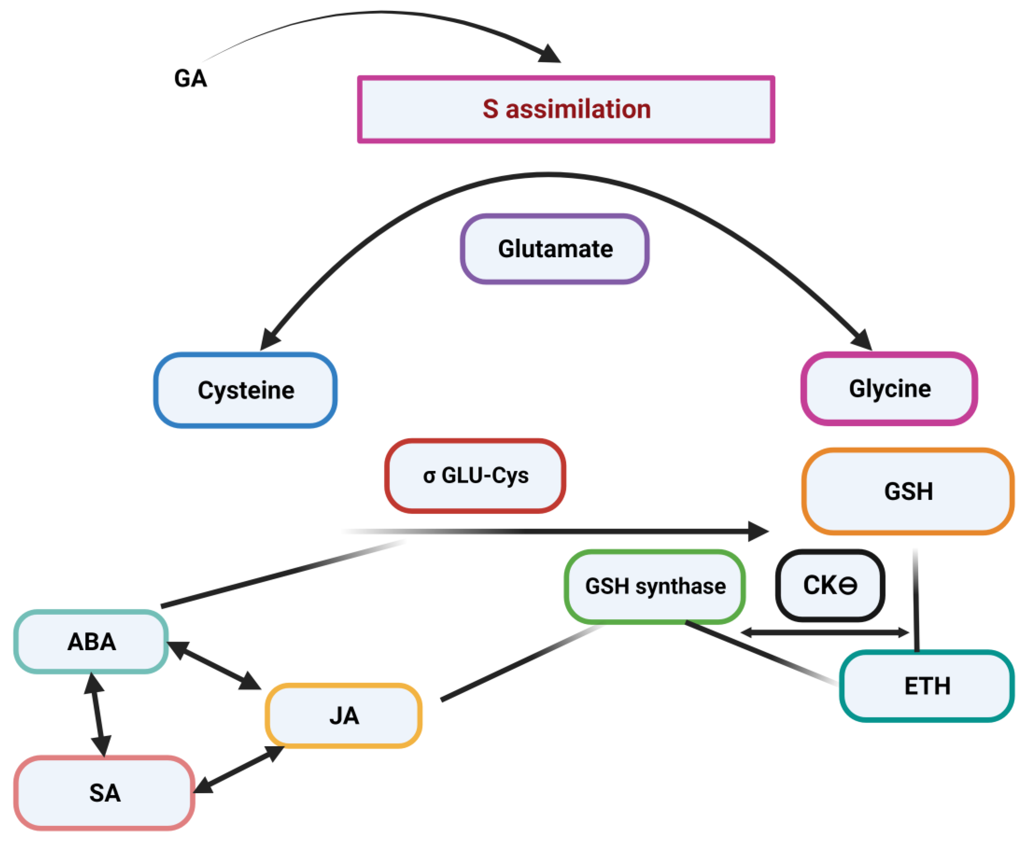 Agriculture 13 01325 g003