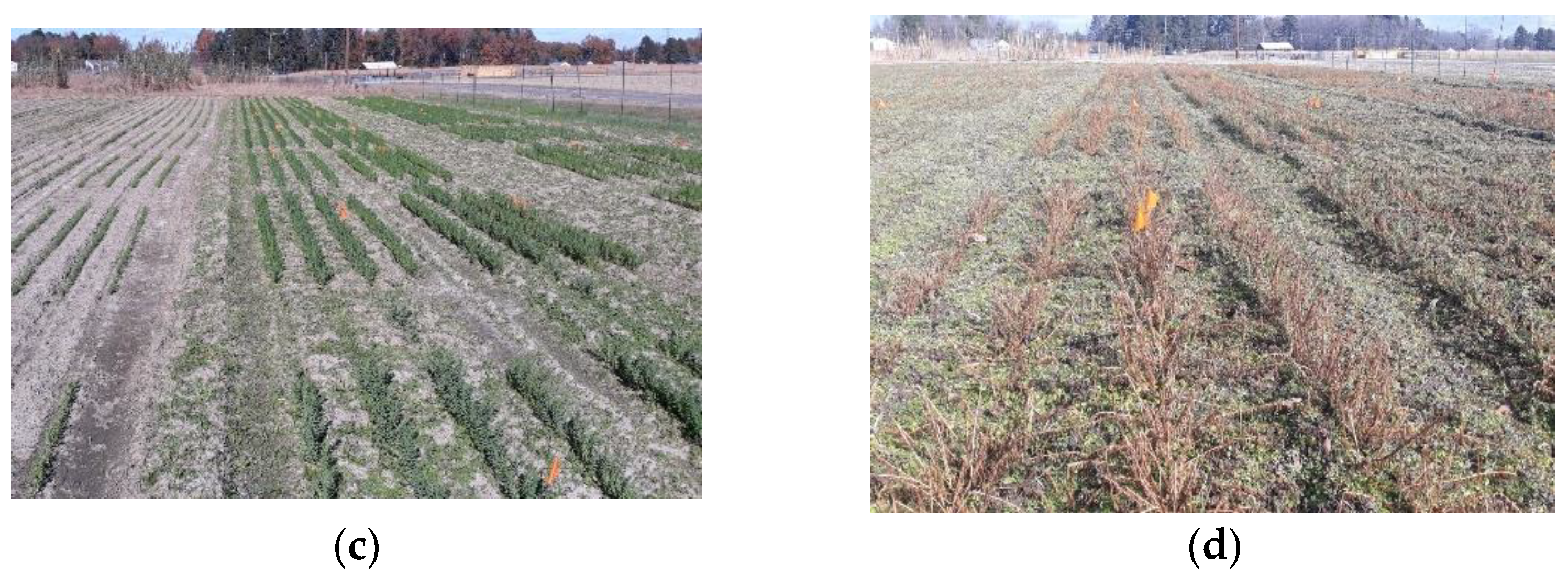 Agriculture 13 01374 g002b