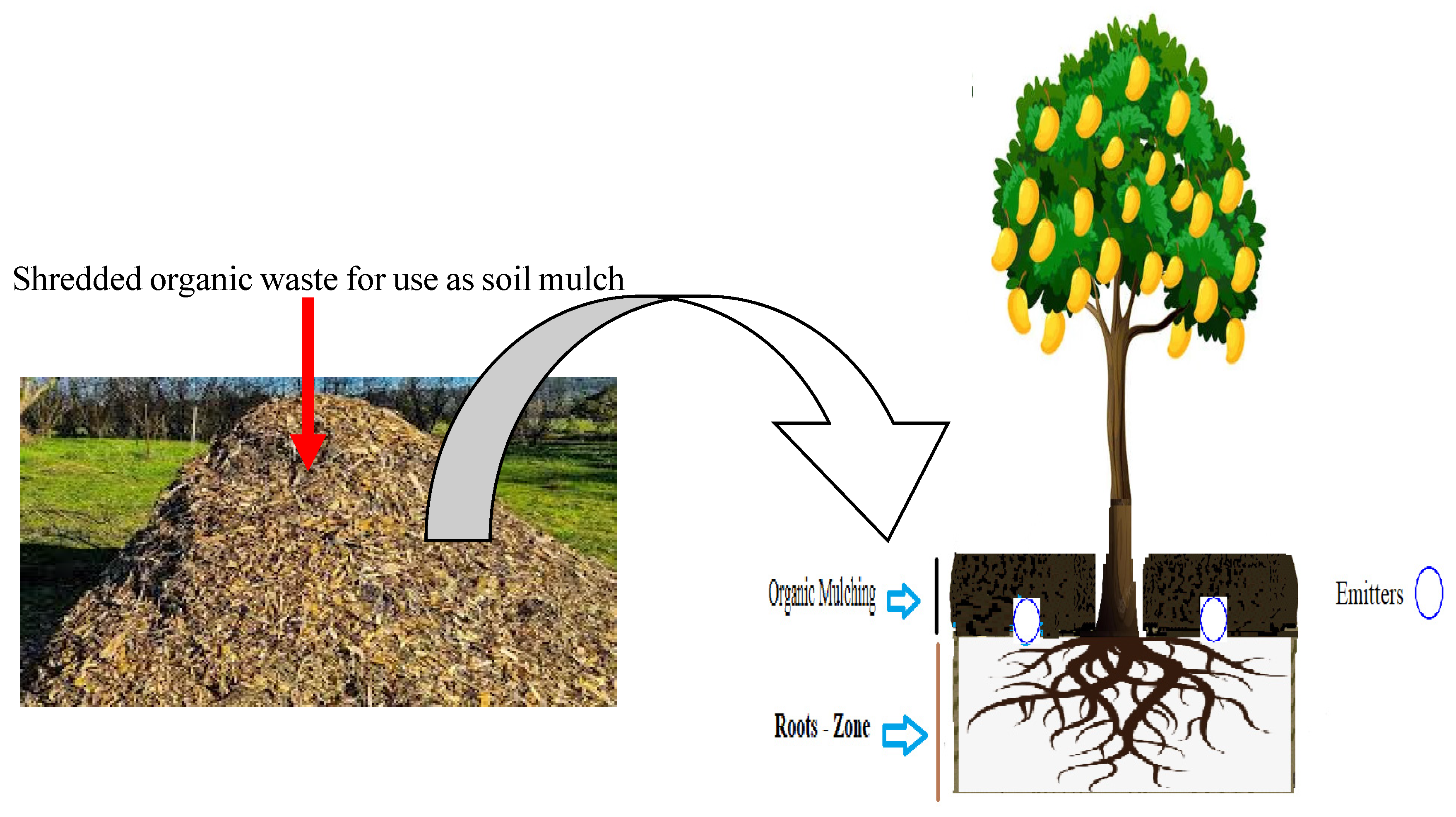 Agriculture 13 01415 g001b