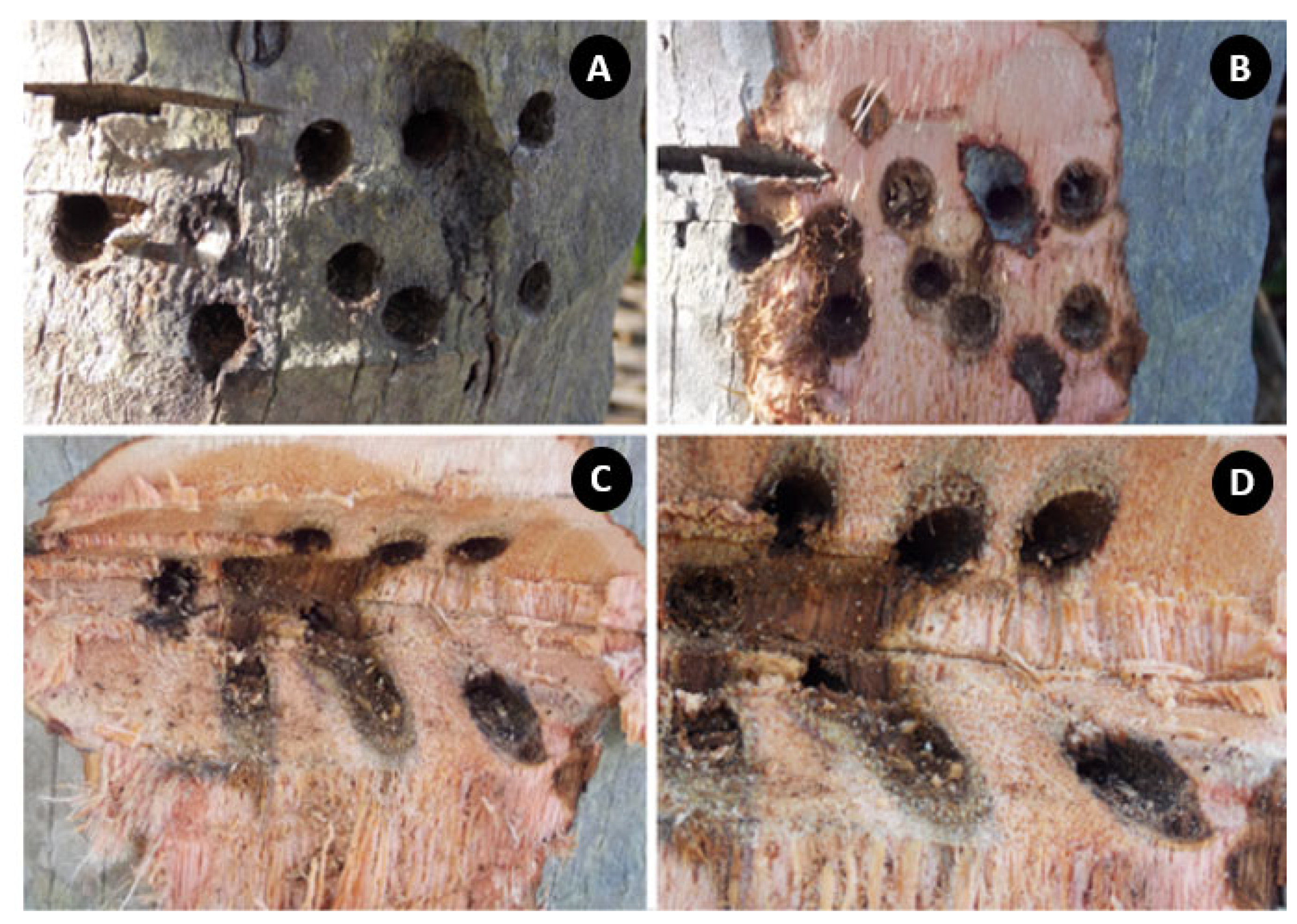 Agriculture 13 01465 g007