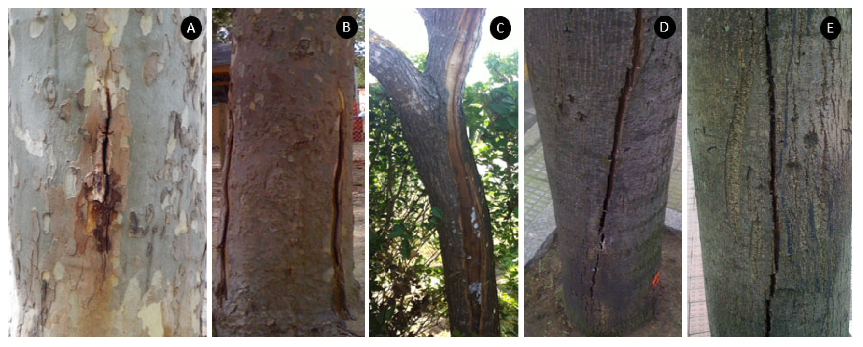 Agriculture 13 01465 g010