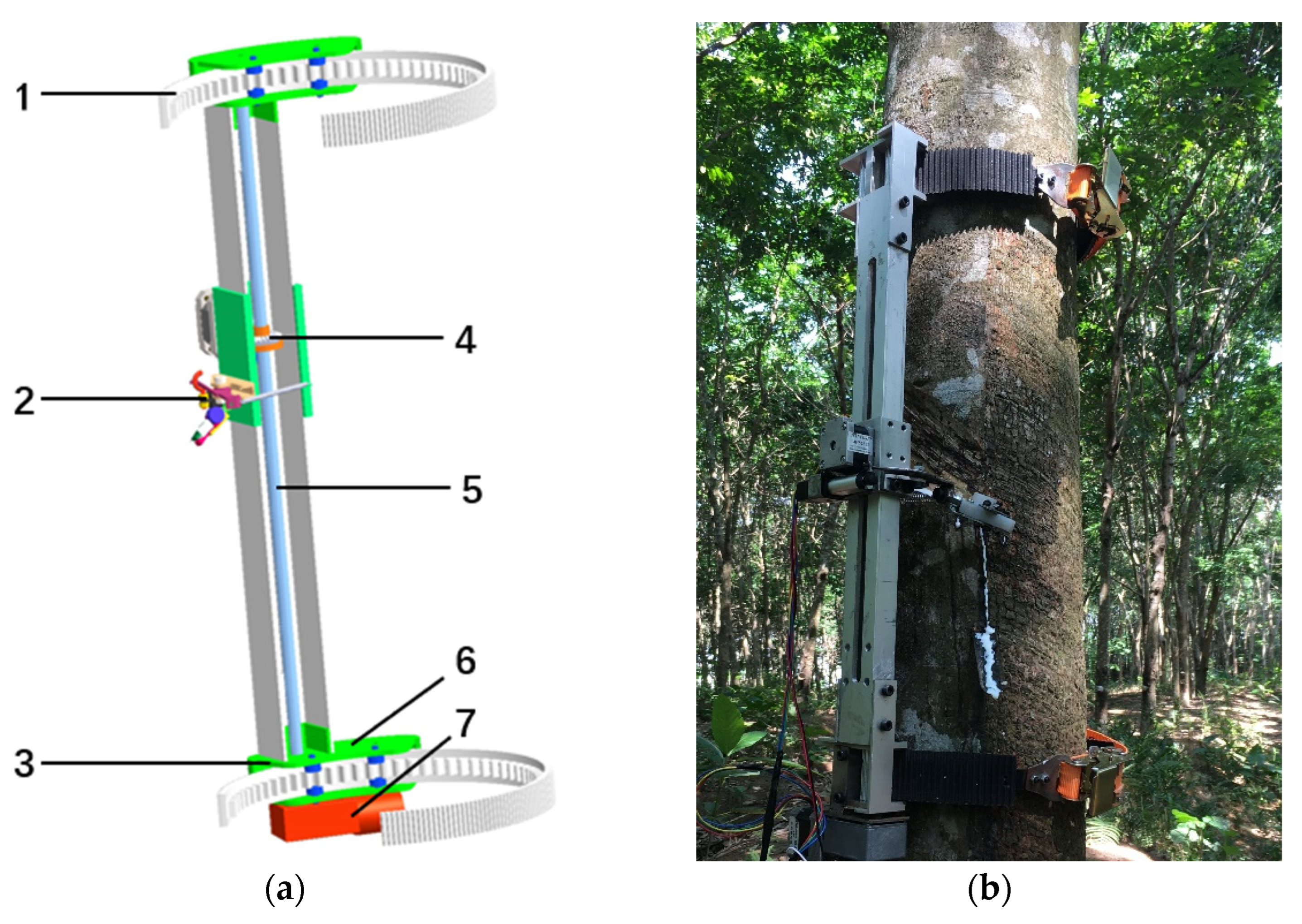 Agriculture 13 01475 g003 Agriculture 13 01475 g003