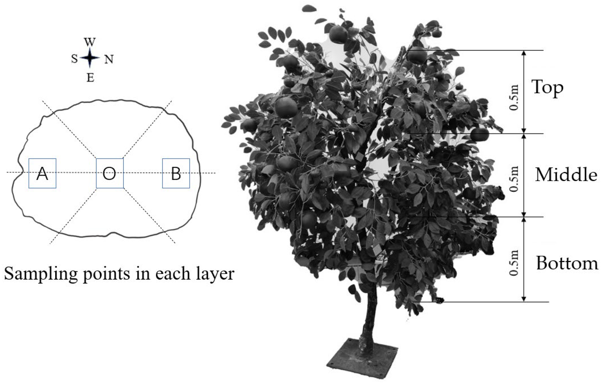 Agriculture 13 01498 g004 Agriculture 13 01498 g004
