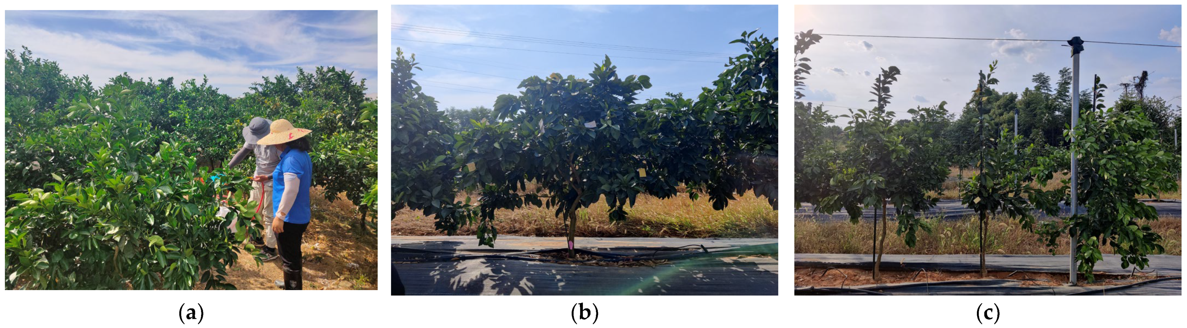 Agriculture 13 01498 g005 Agriculture 13 01498 g005