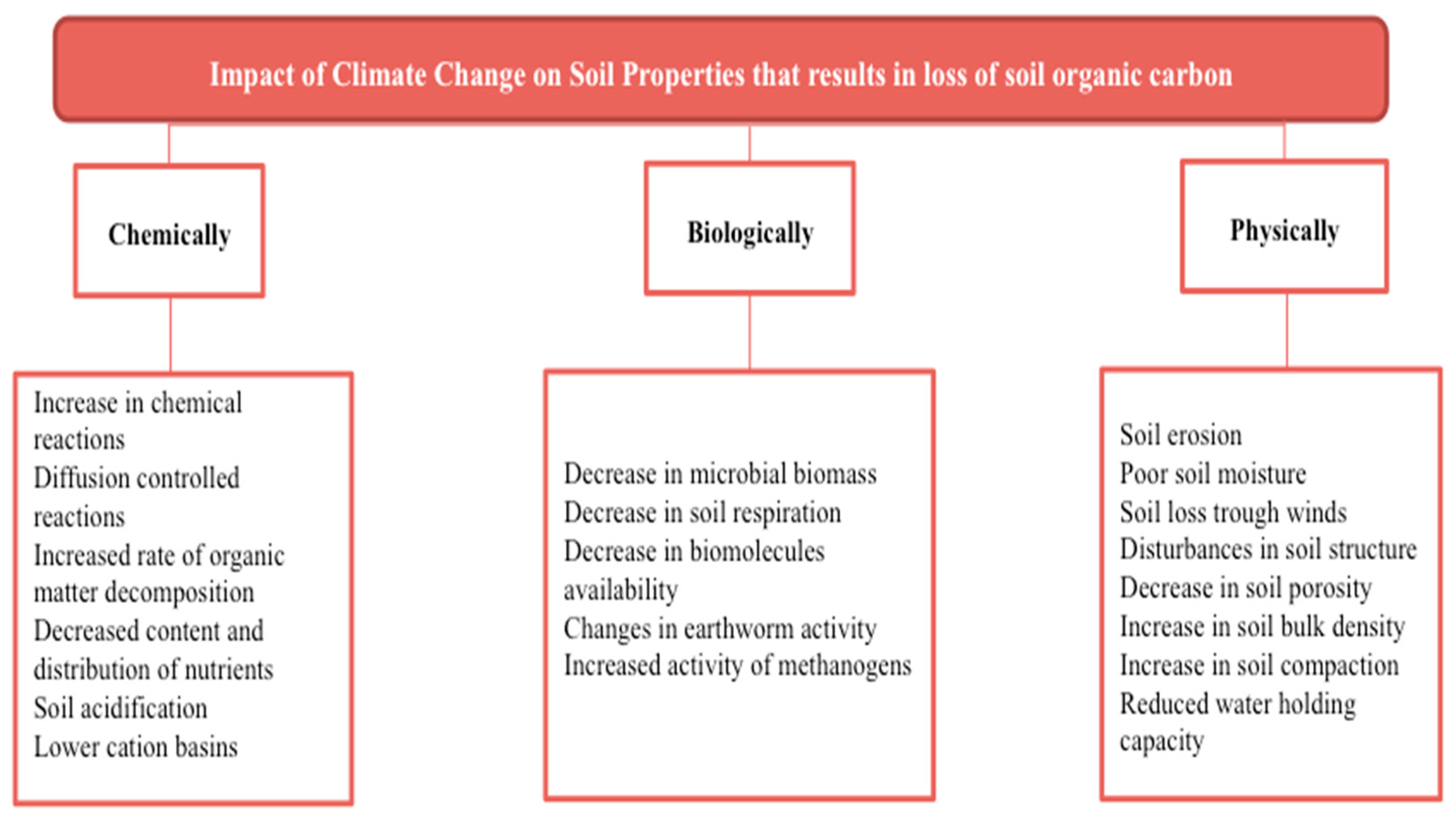 Forest microbiome and global change