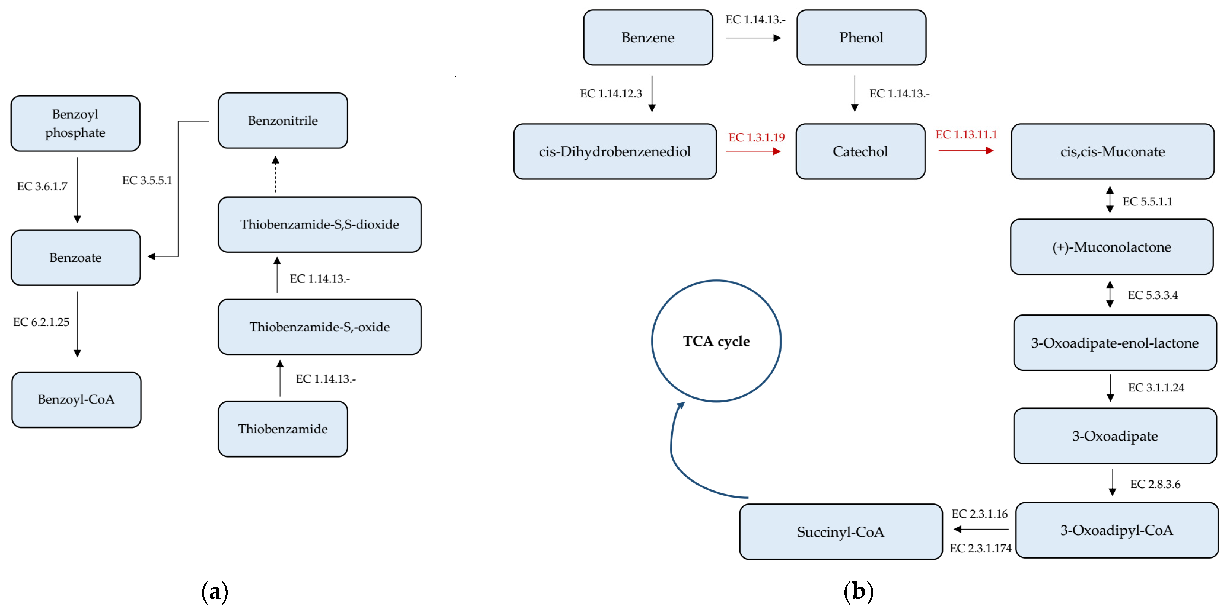 Agriculture 13 01519 g004a Agriculture 13 01519 g004a