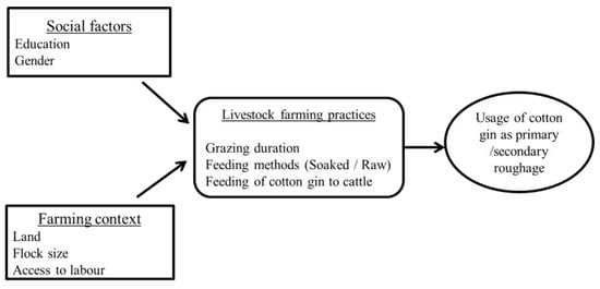 Cotton Byproducts and Grazing Cows