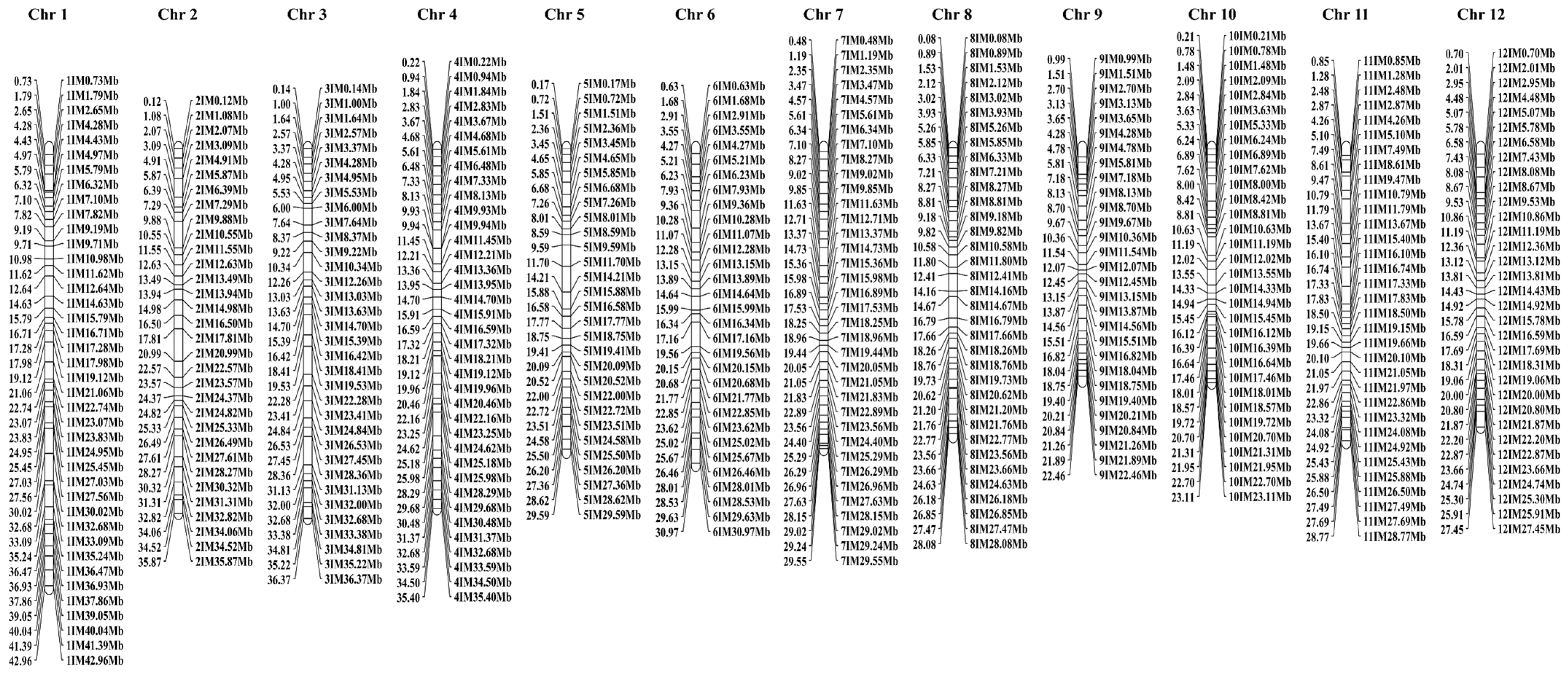 Agriculture 13 01573 g004