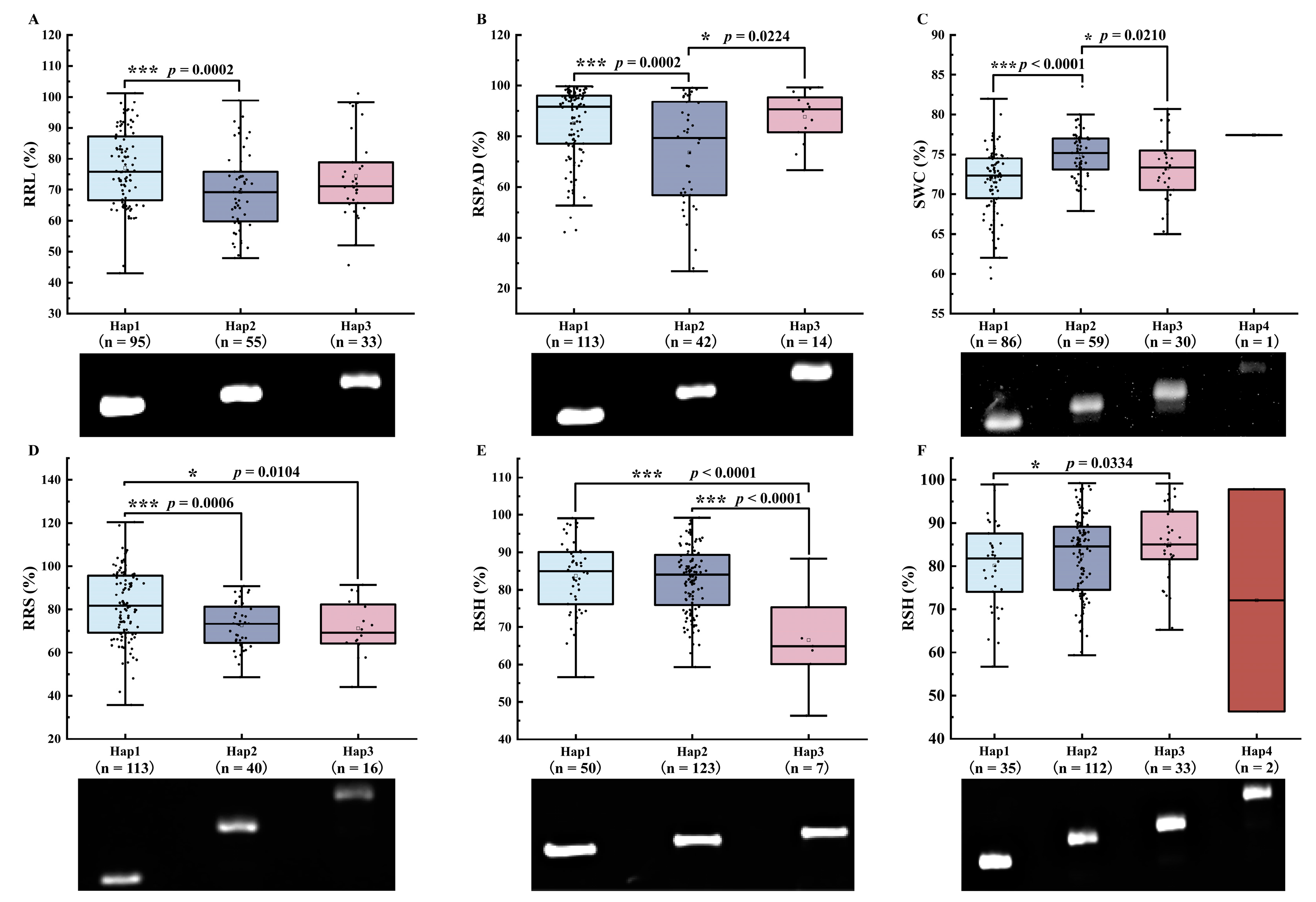 Agriculture 13 01573 g007
