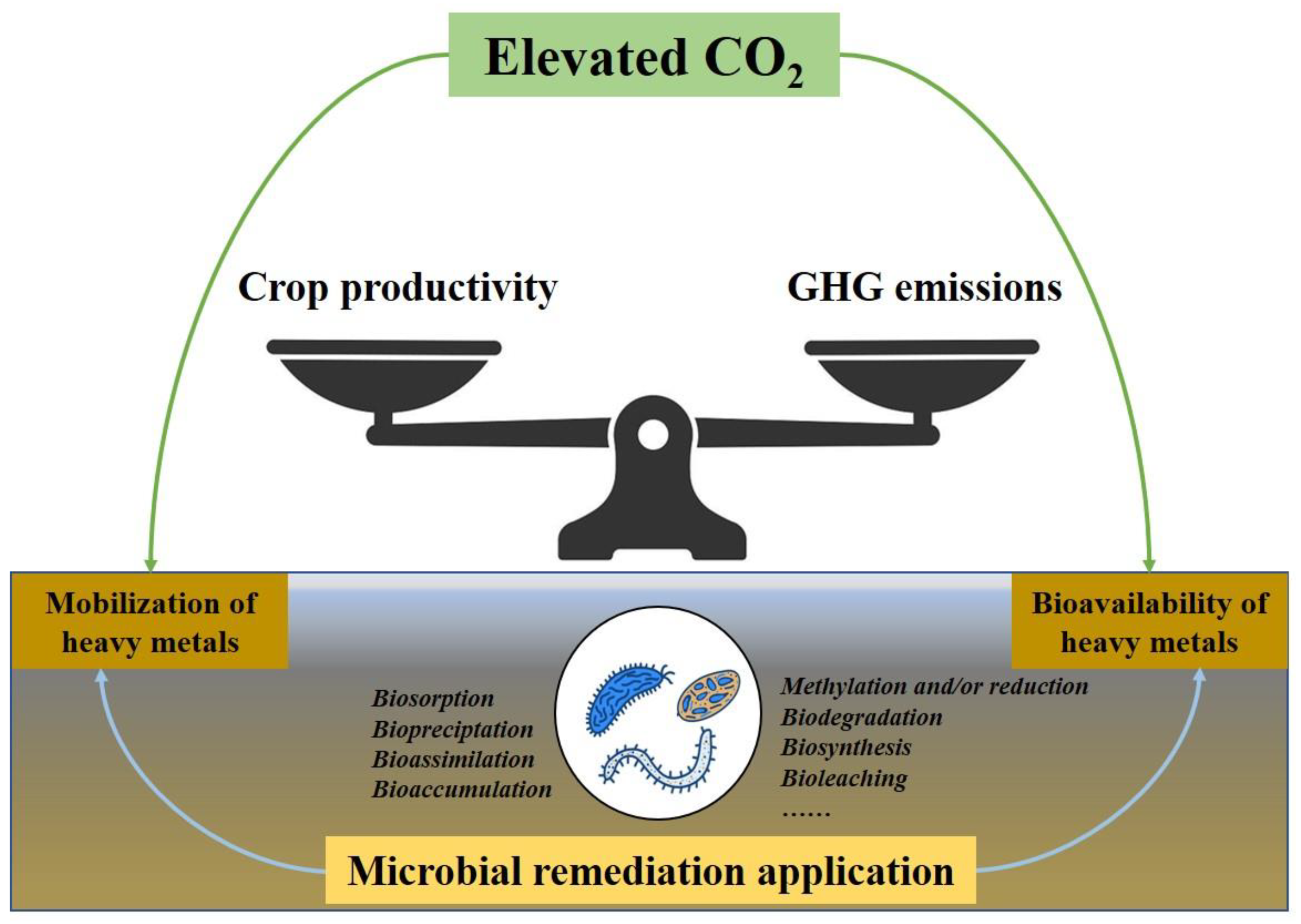 Agriculture 13 01607 g002