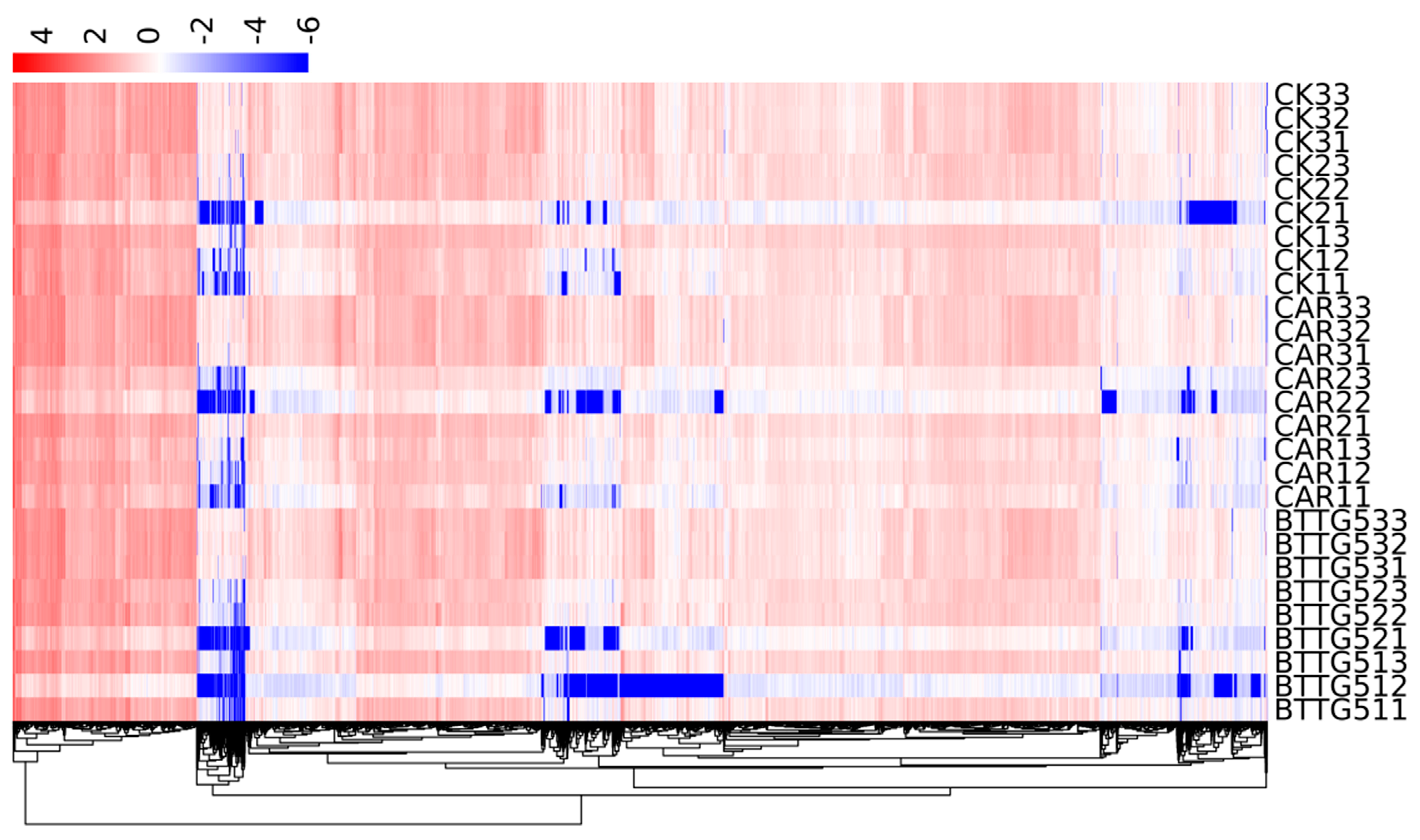 Agriculture 13 01608 g004 Agriculture 13 01608 g004