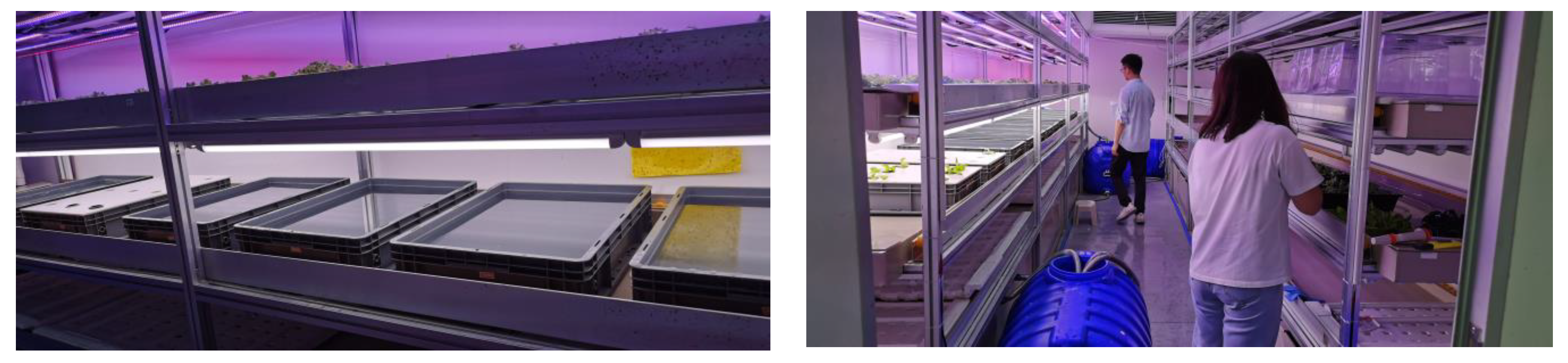 Agriculture 13 01614 g002 Agriculture 13 01614 g002