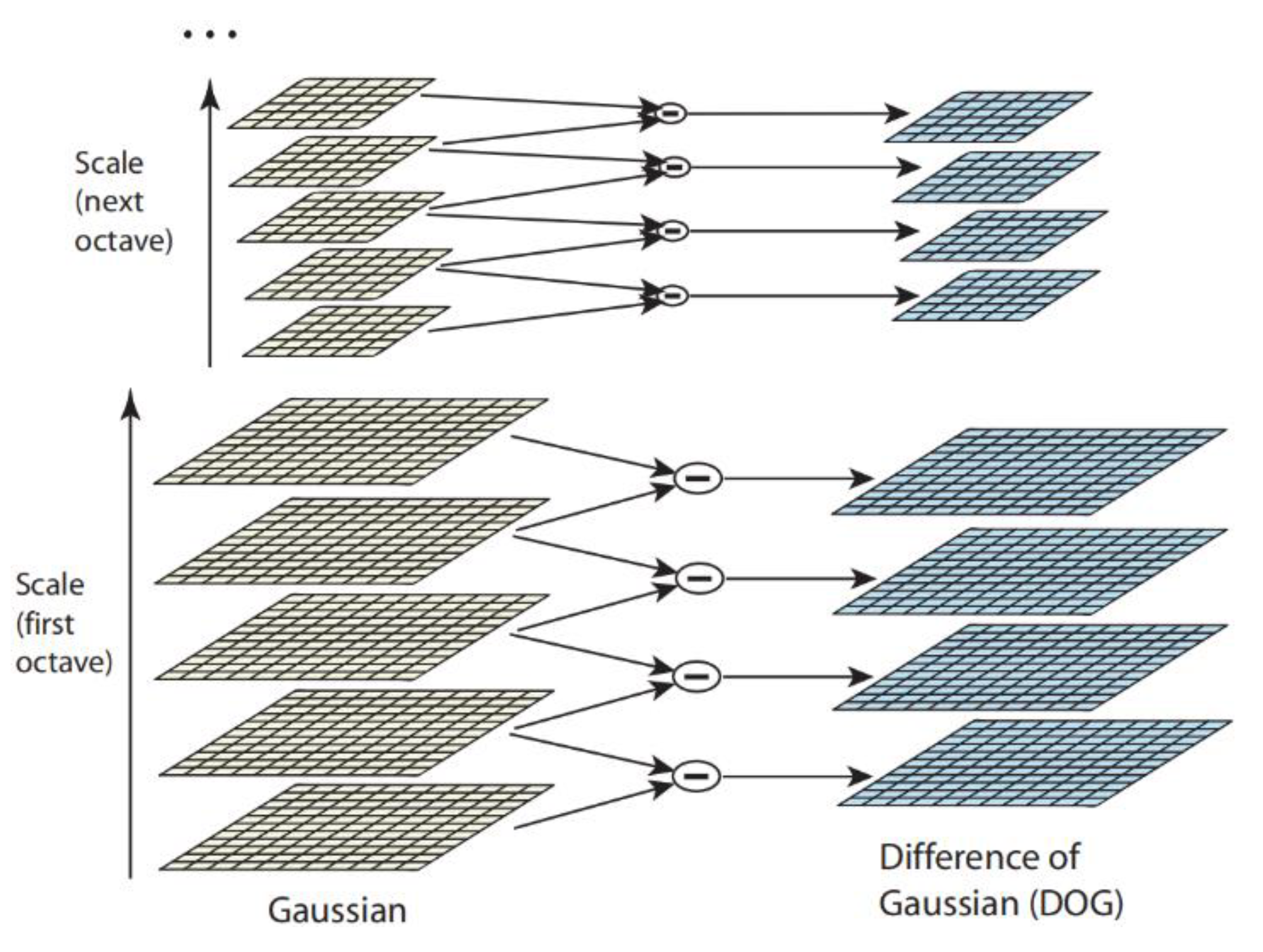 Agriculture 13 01614 g005 Agriculture 13 01614 g005