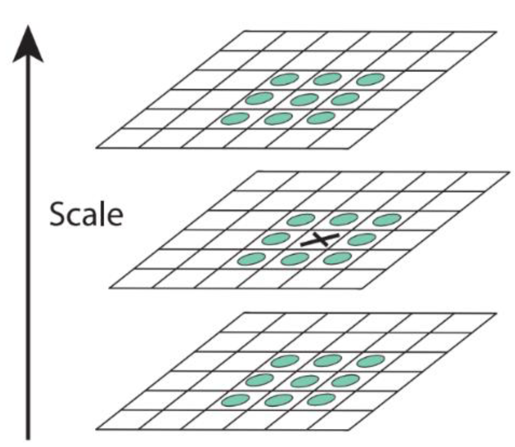 Agriculture 13 01614 g006 Agriculture 13 01614 g006