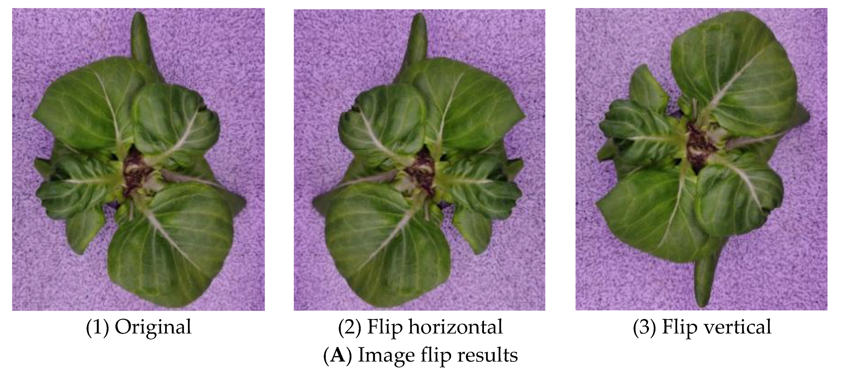 Agriculture 13 01614 g008a Agriculture 13 01614 g008a