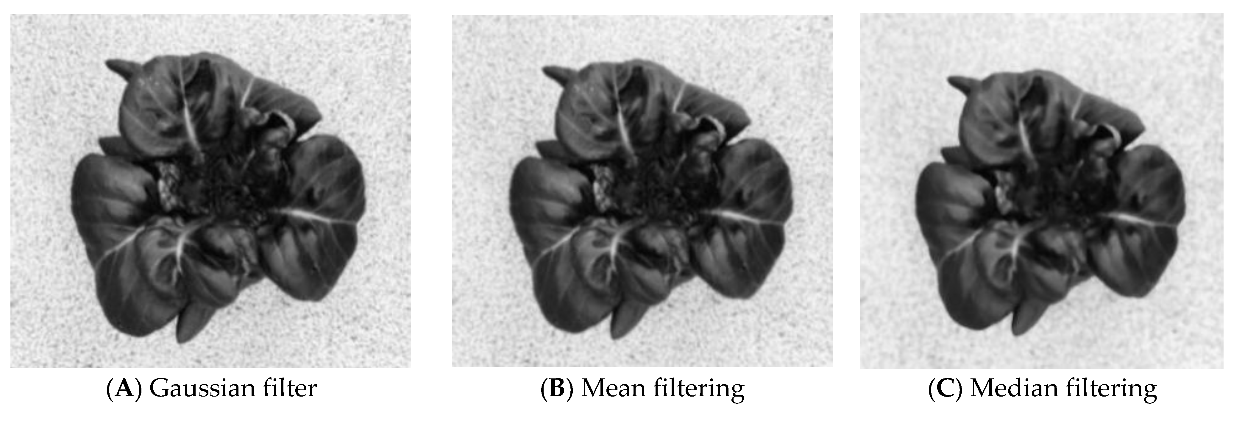 Agriculture 13 01614 g012 Agriculture 13 01614 g012