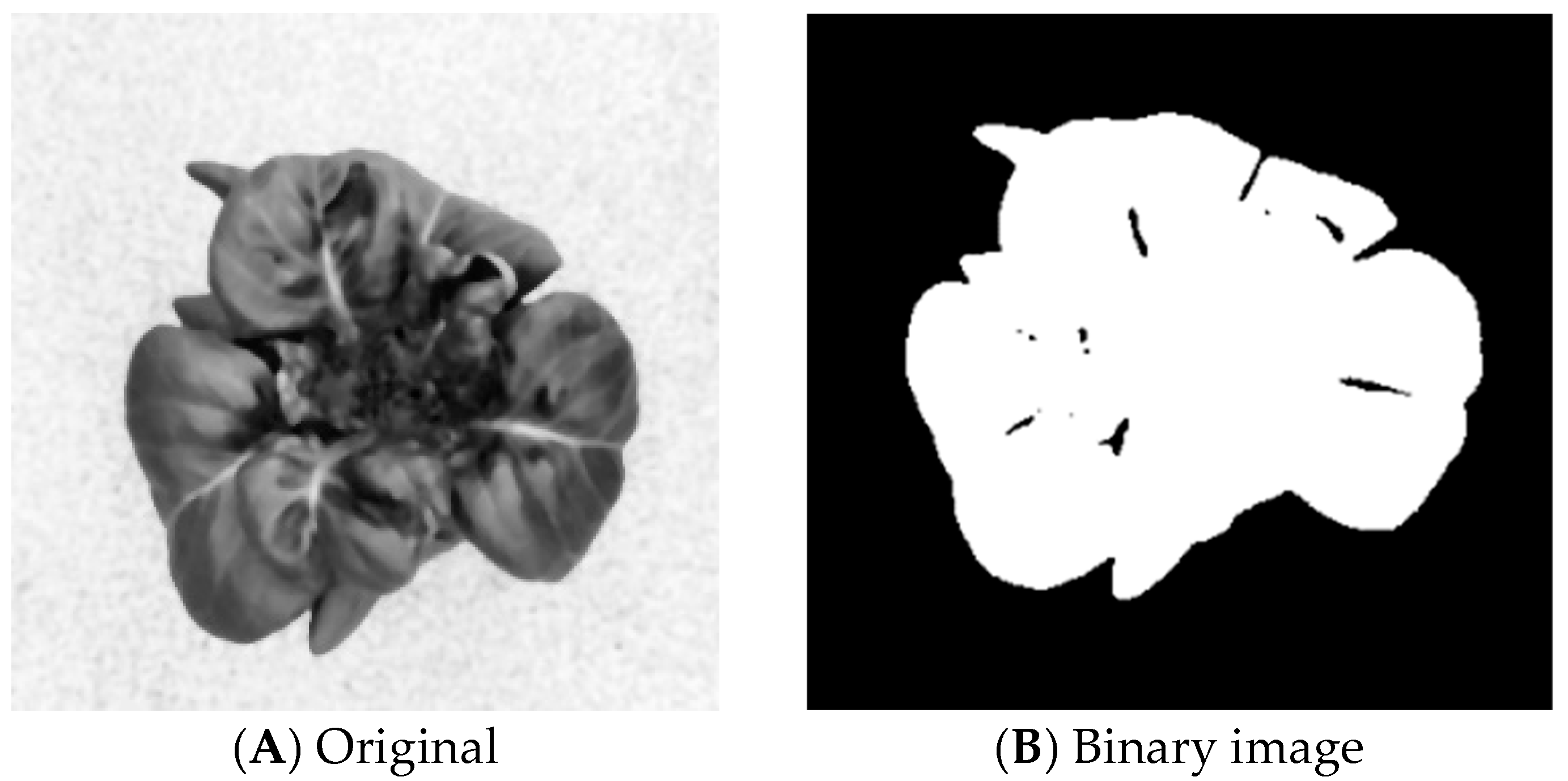 Agriculture 13 01614 g014 Agriculture 13 01614 g014