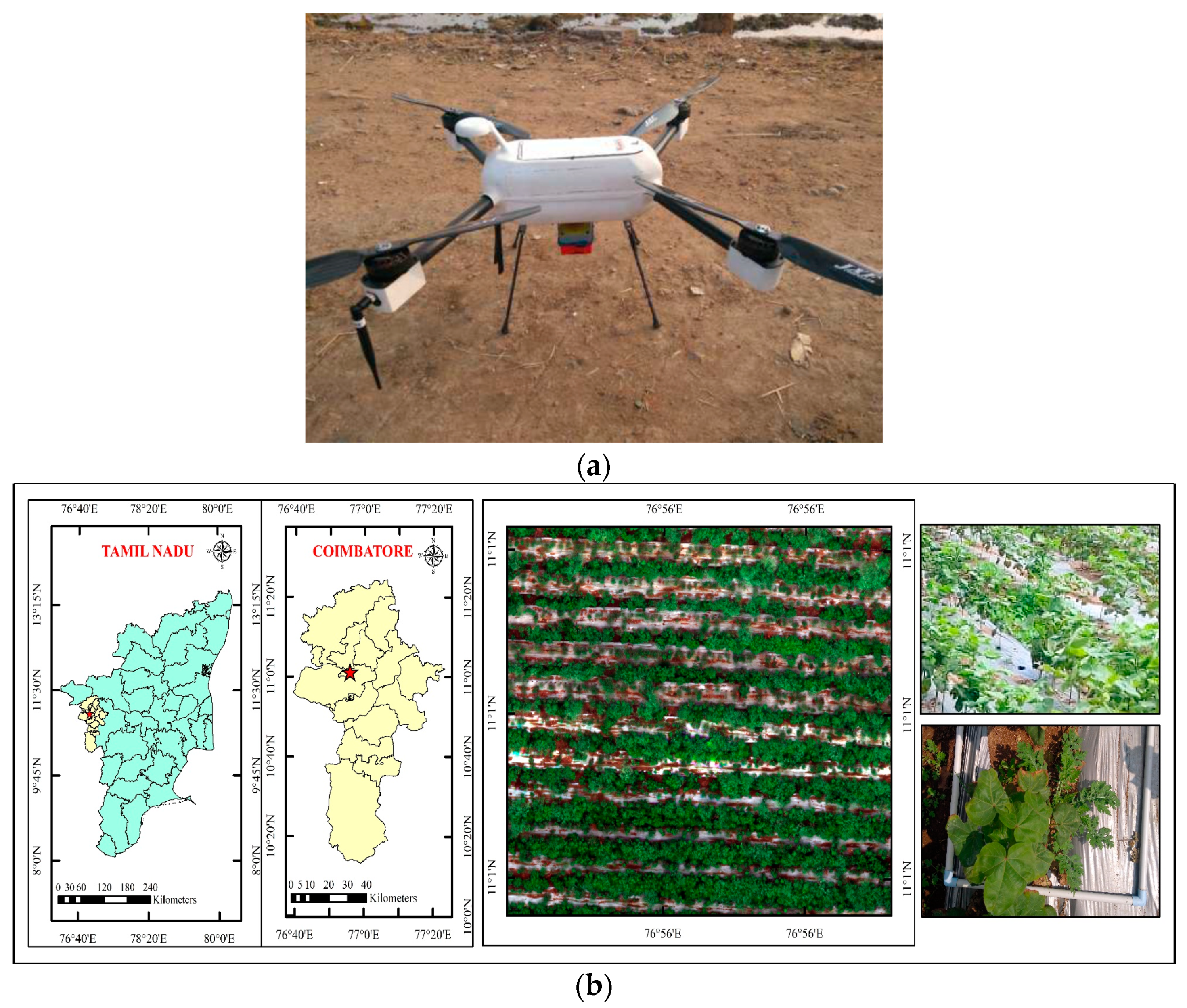 Agriculture 13 01668 g001a