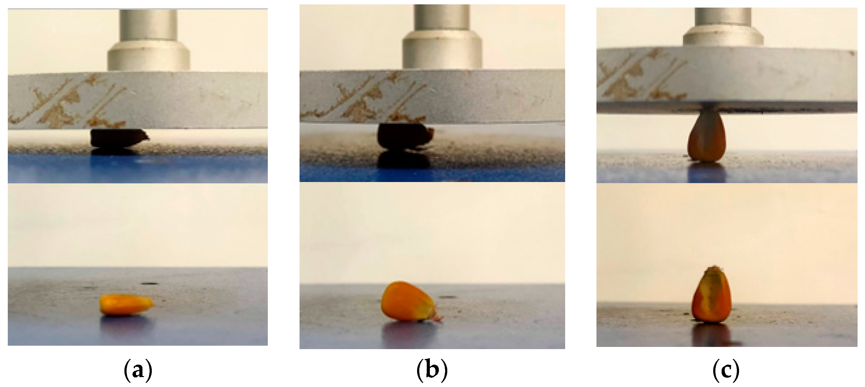 Agriculture 13 01677 g003